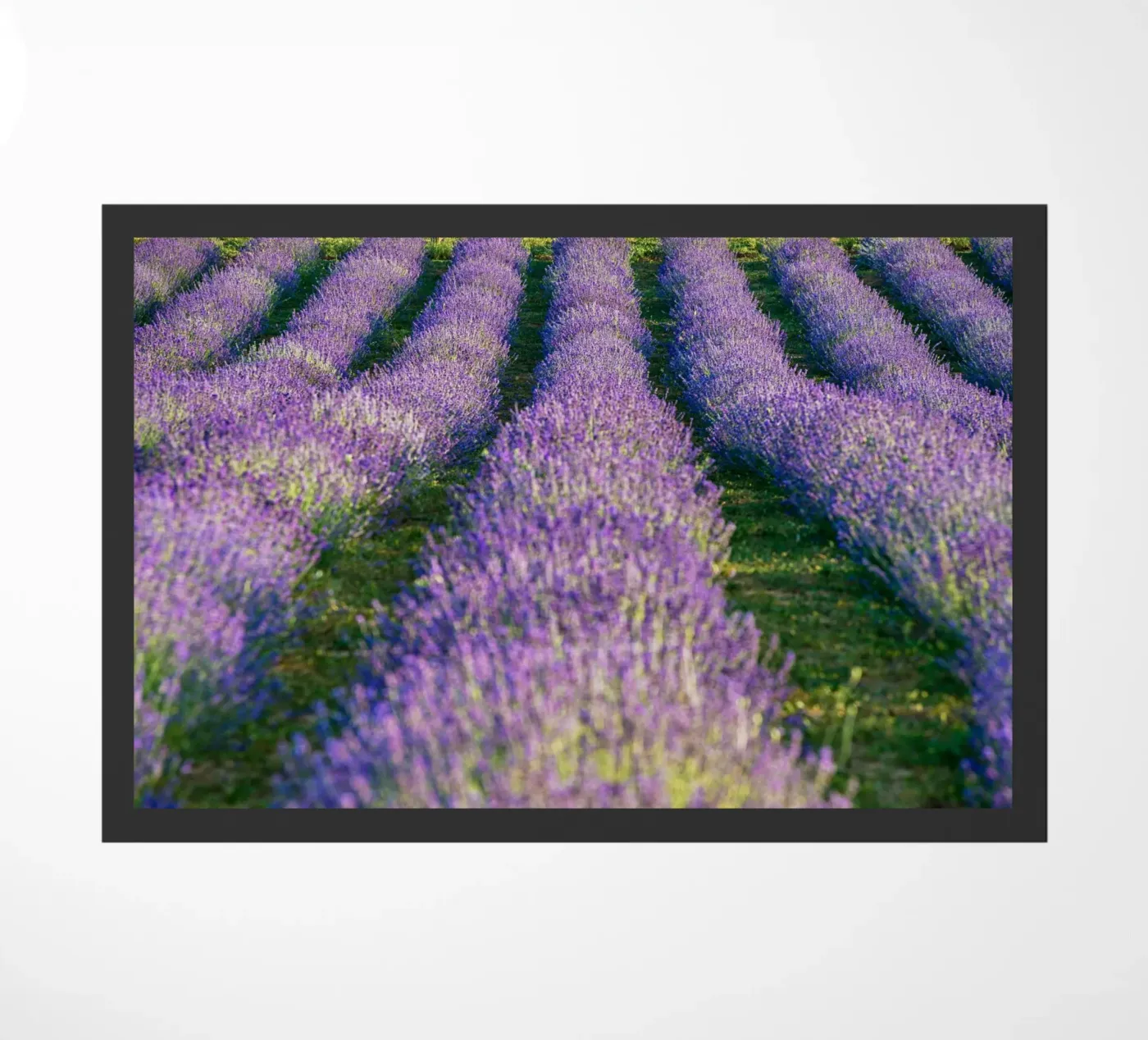Levander field doormat by anderm