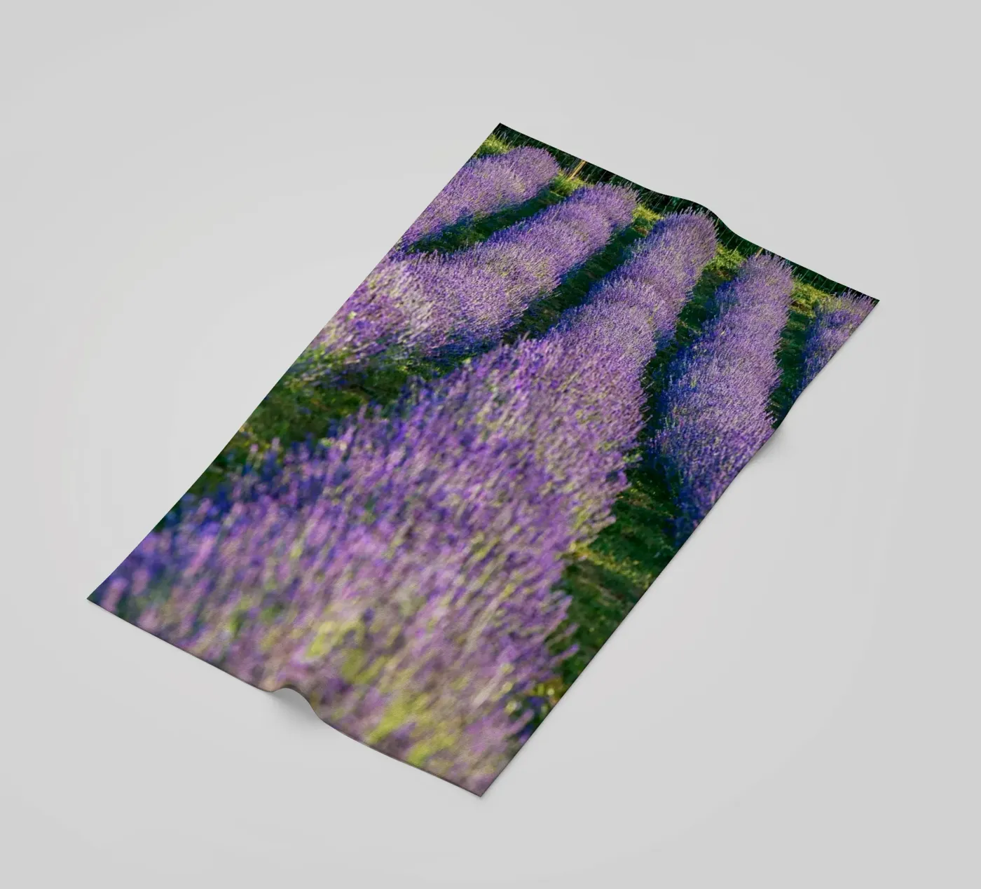 Campo di Levander telo mare da anderm