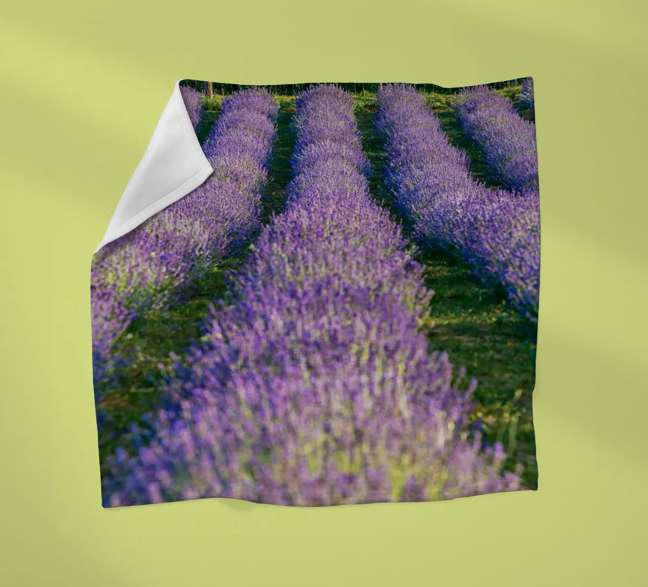 Levander-Feld Fleecedecke von anderm