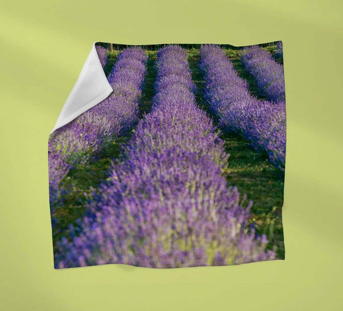 Levander-veld fleecedeken van anderm