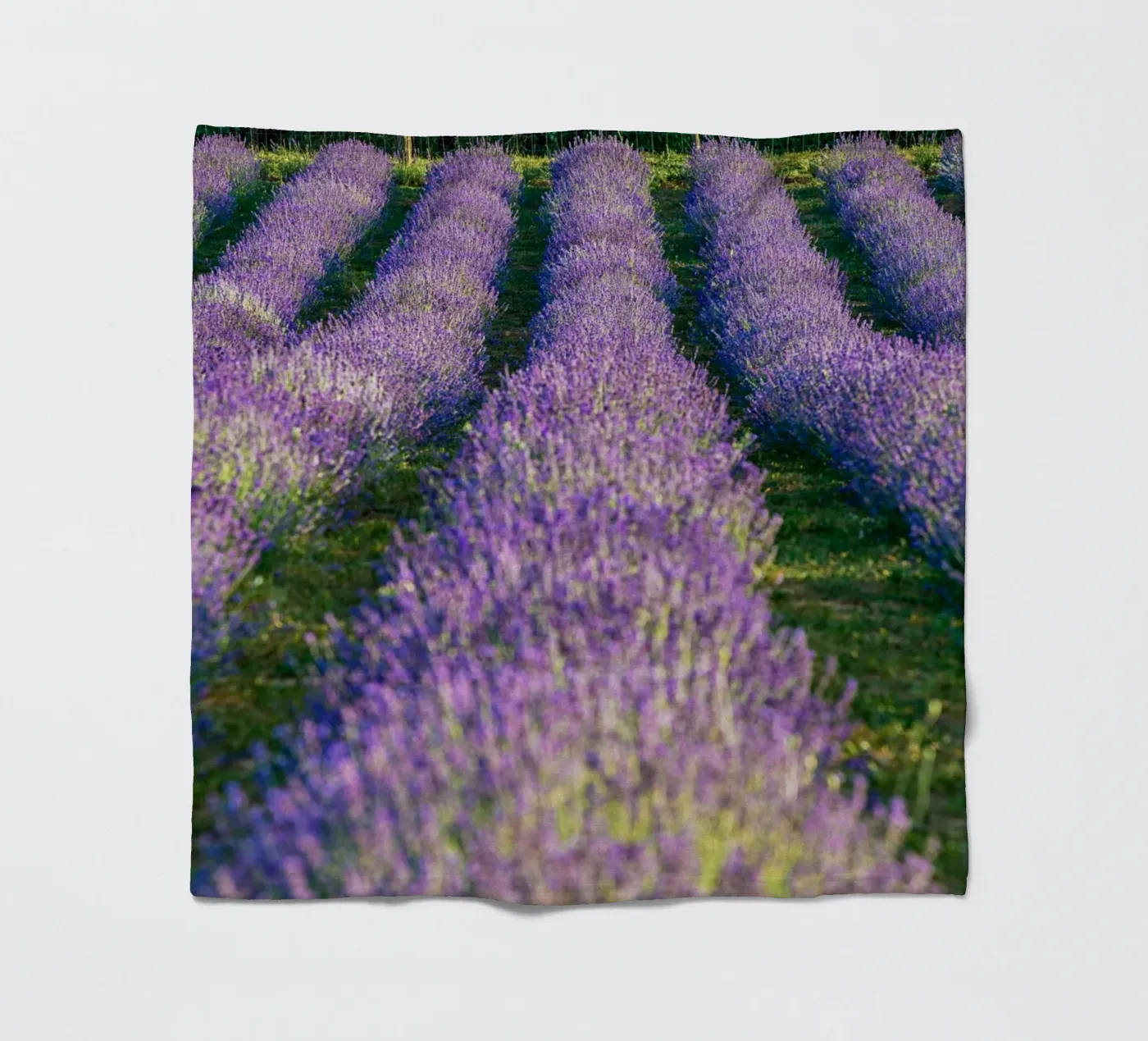Levander-veld fleecedeken van anderm