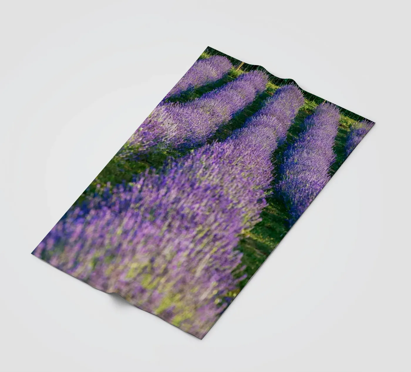 Levander-veld fleecedeken van anderm