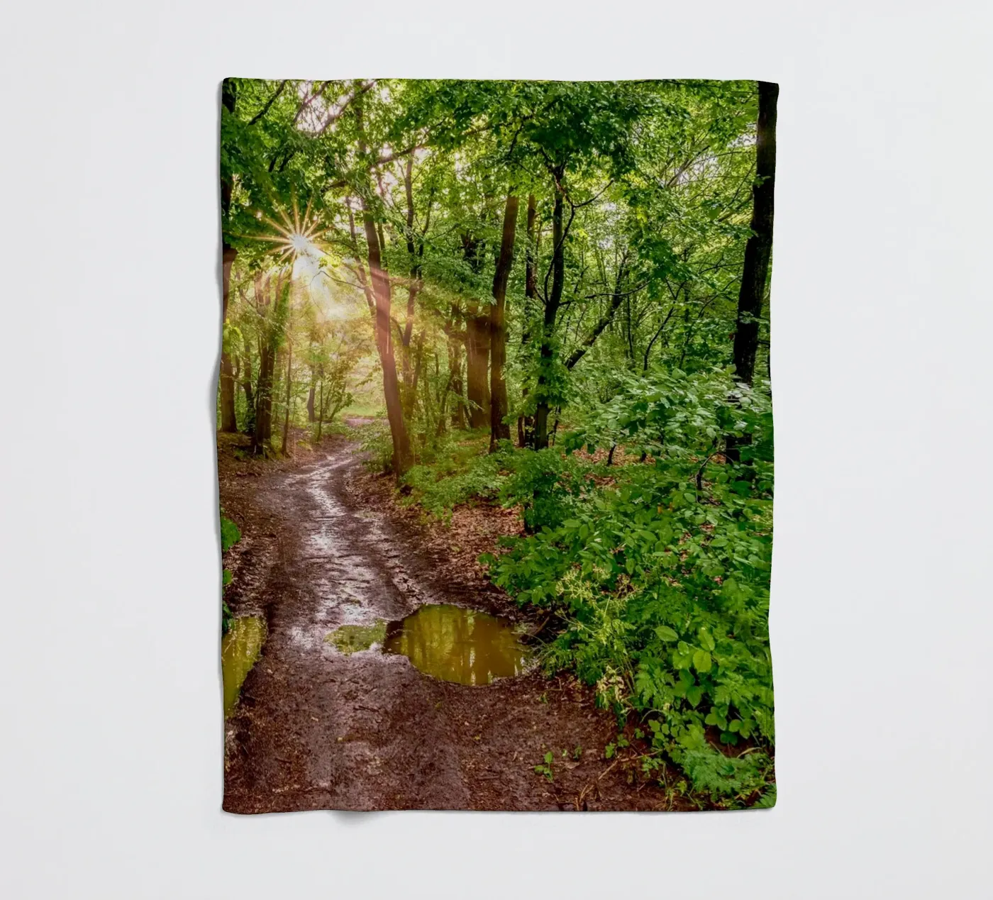 Forest after rain coperta in pile da anderm