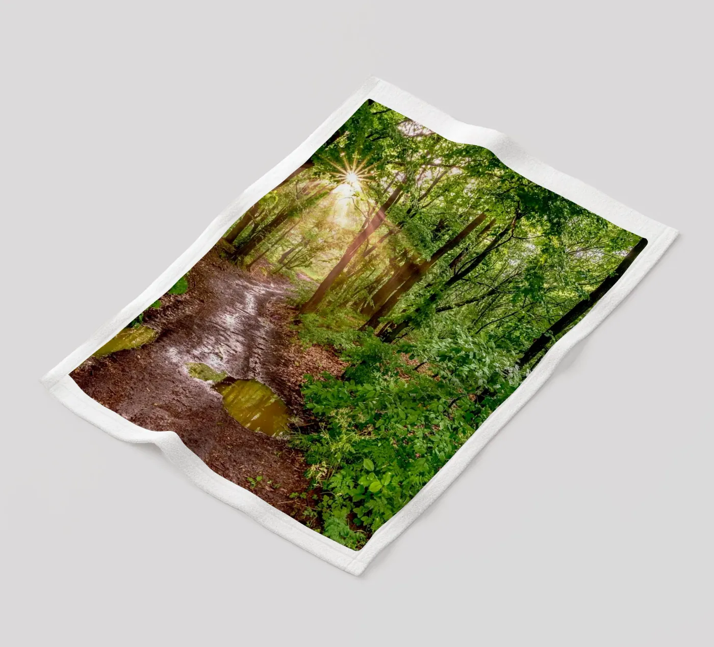 Forest after rain coperta in pile da anderm