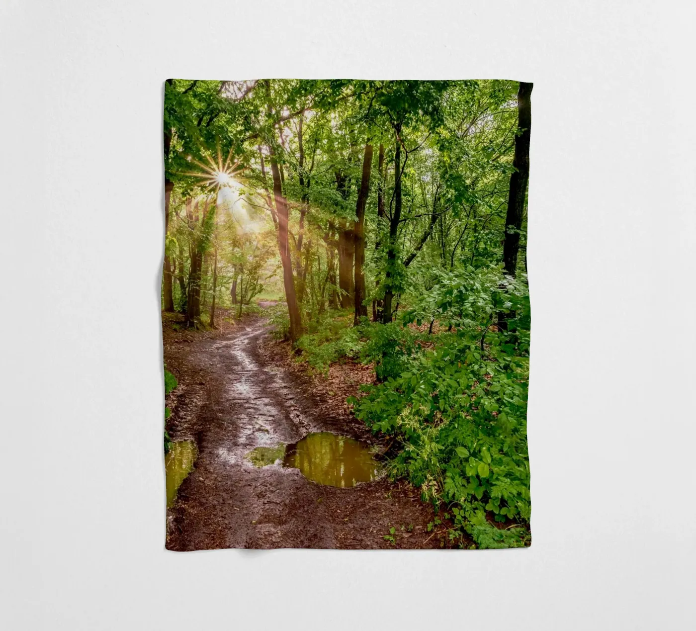 Forest after rain coperta in pile da anderm