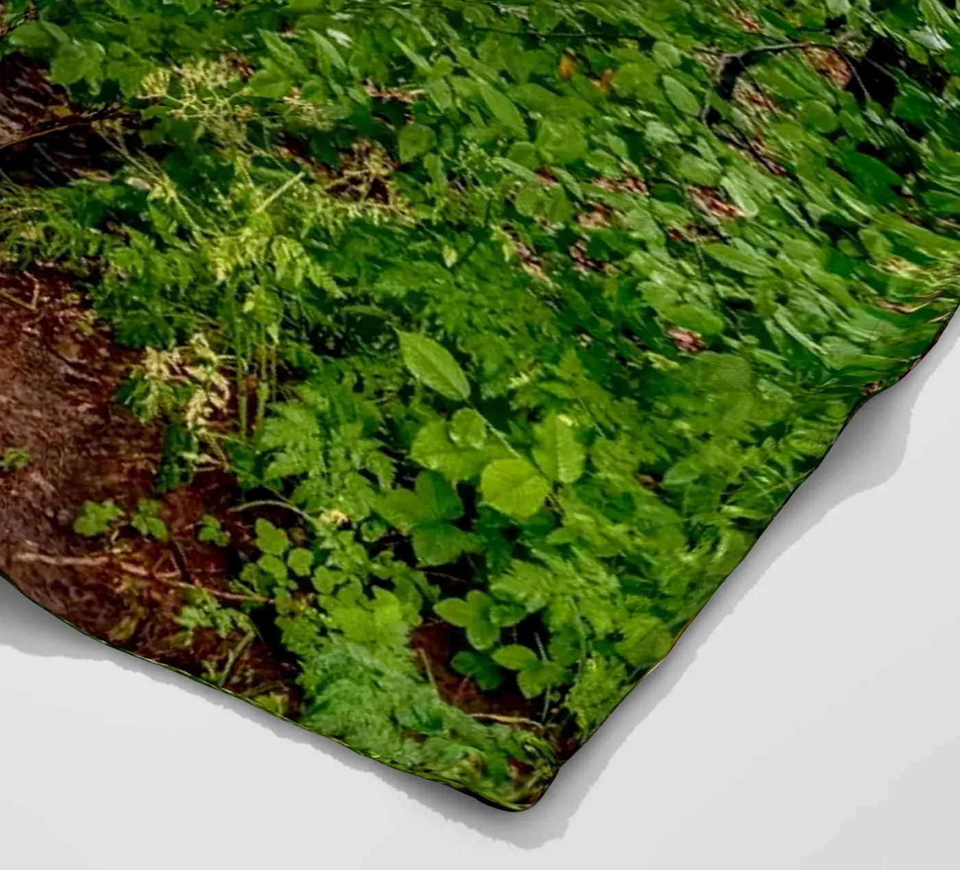 Forest after rain coperta in pile da anderm