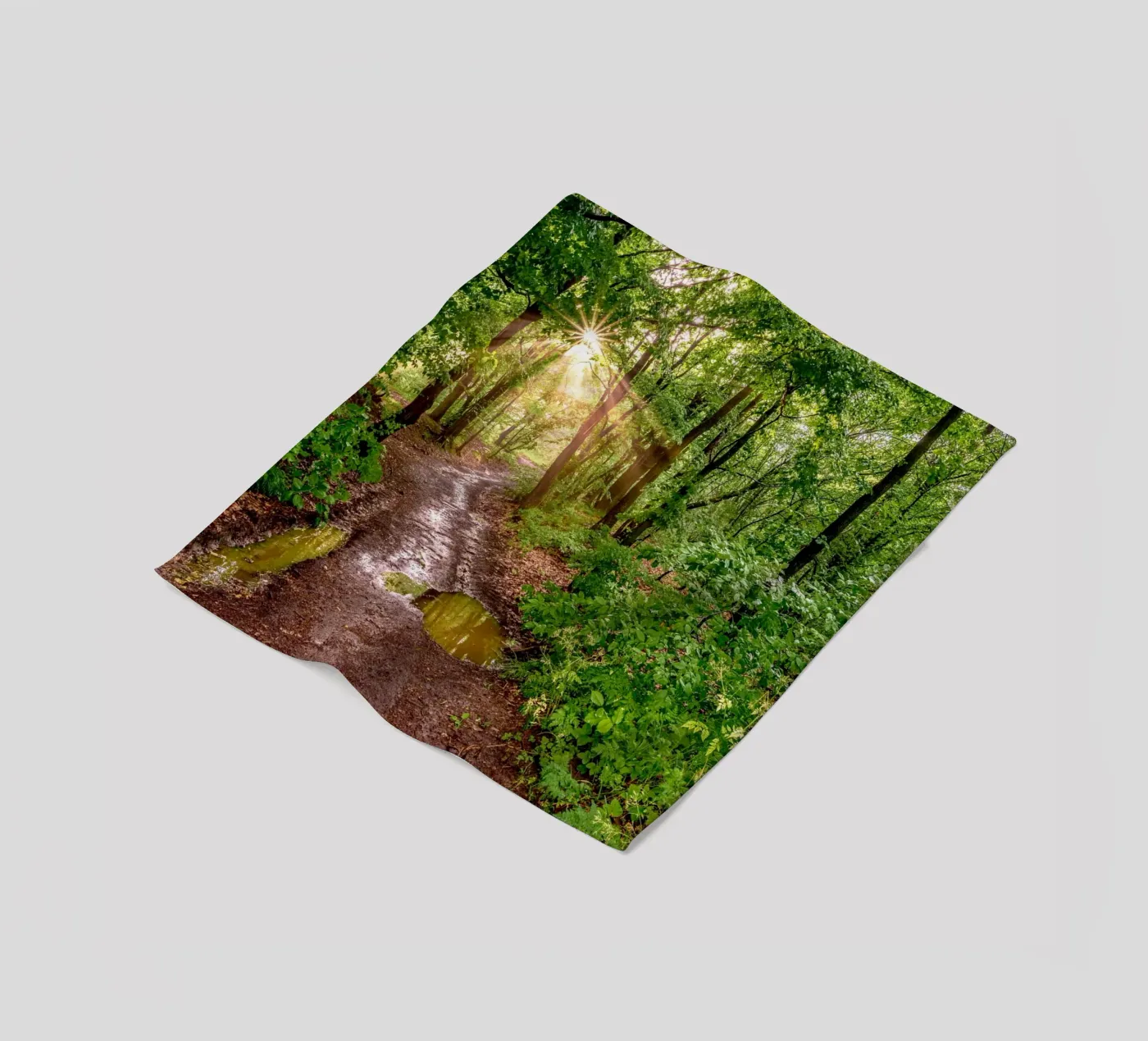 Forest after rain coperta in pile da anderm