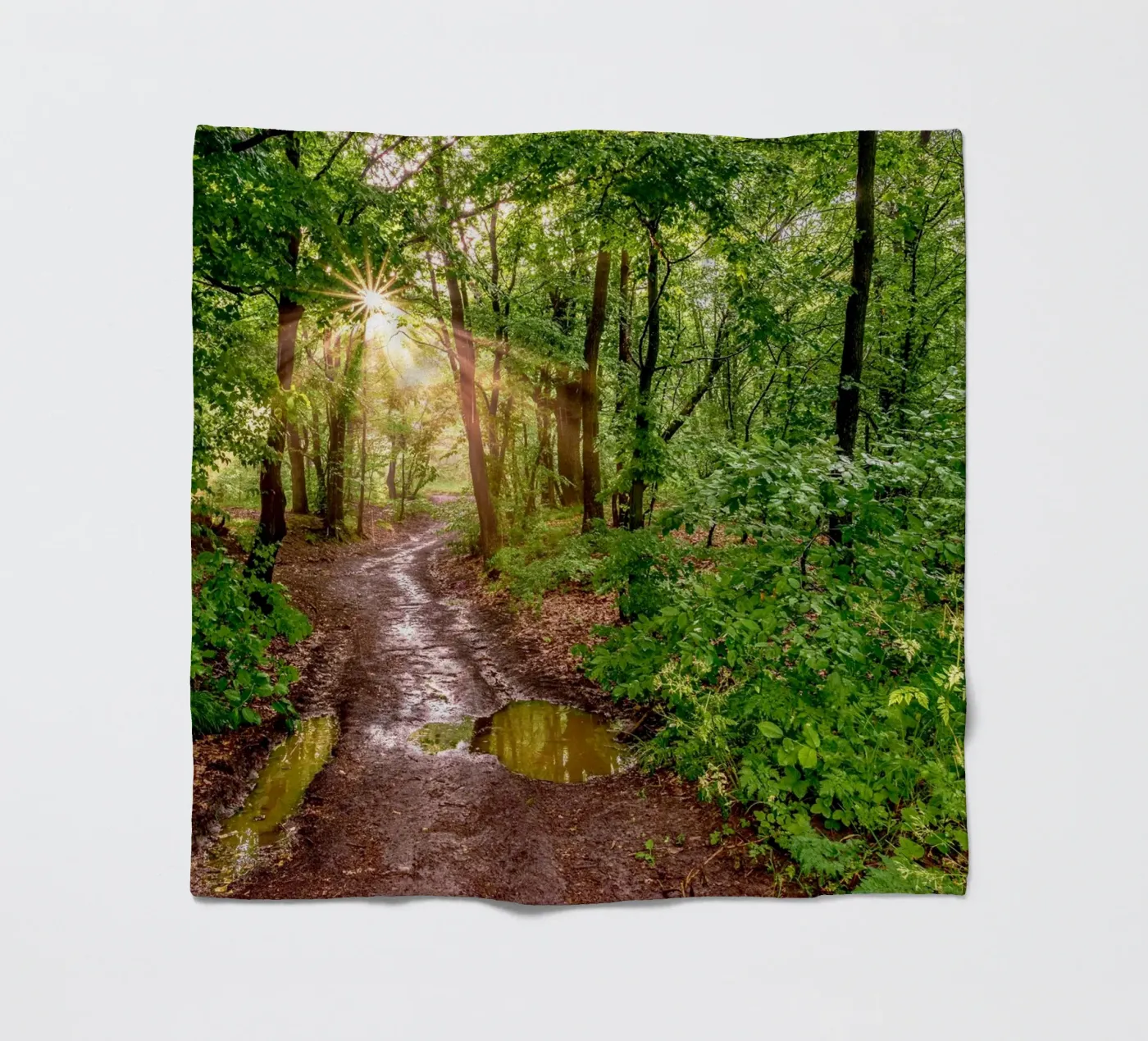 Forest after rain coperta in pile da anderm