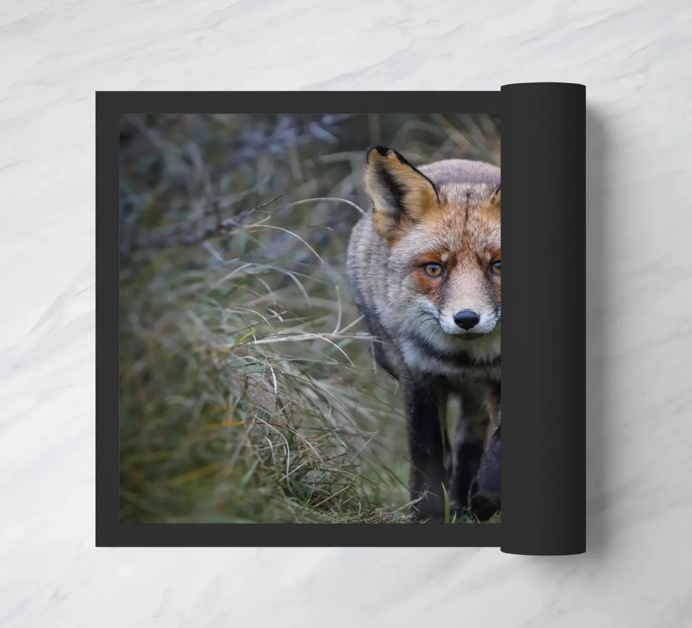 Red Fox paillasson de Tom's Wildlife