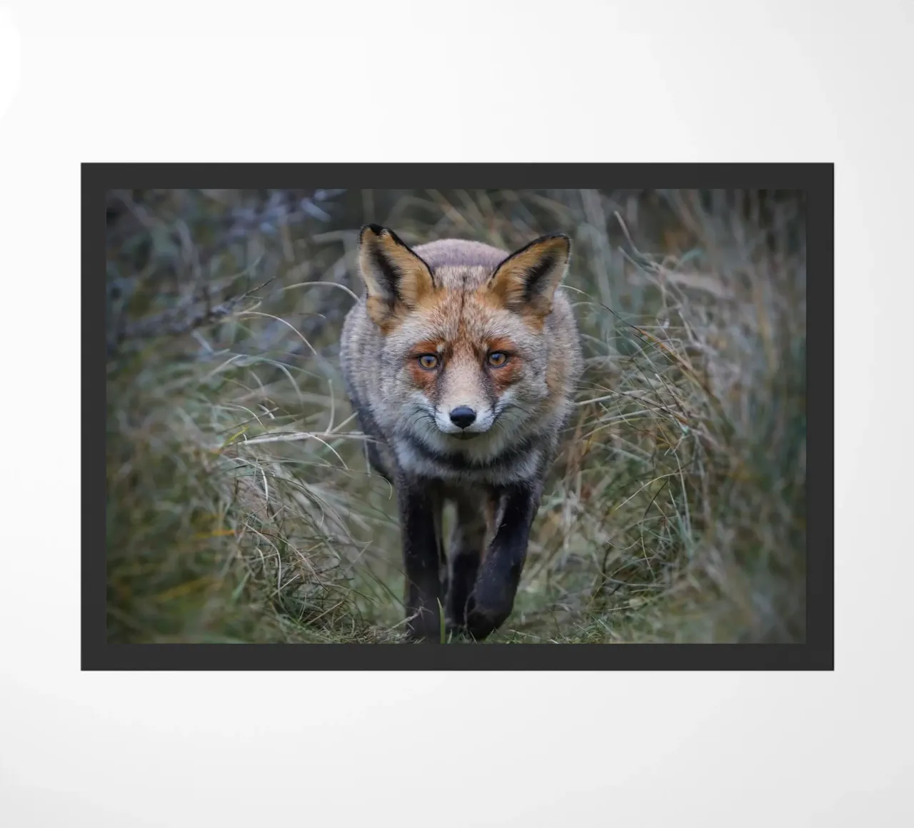 Rotfuchs Fußmatte von Tom's Wildlife