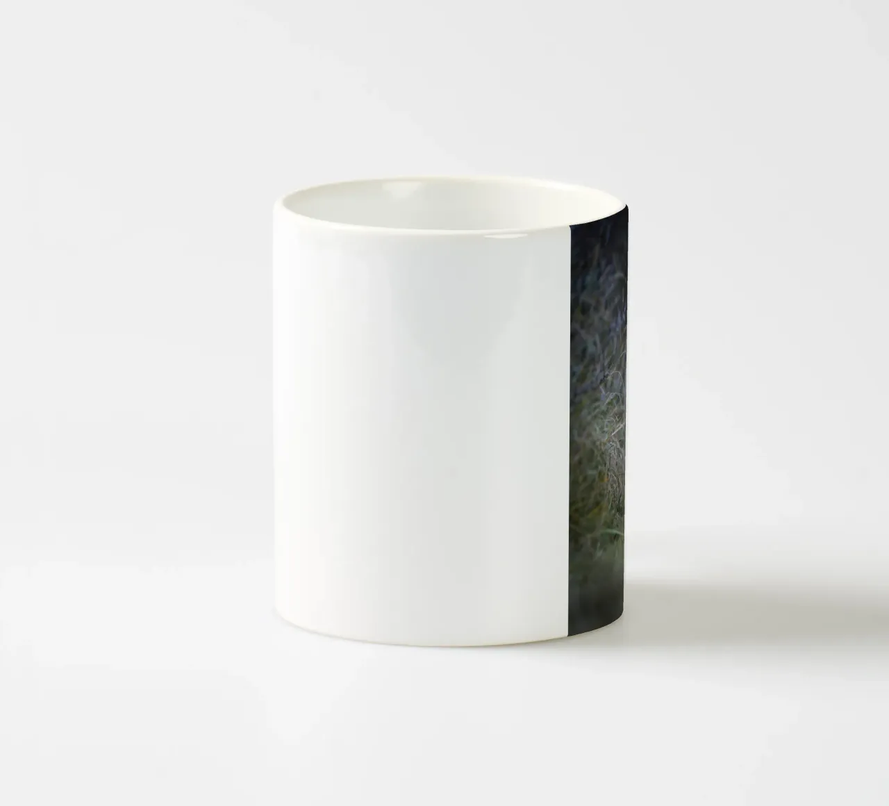 Volpe rossa tazza in ceramica da Tom's Wildlife