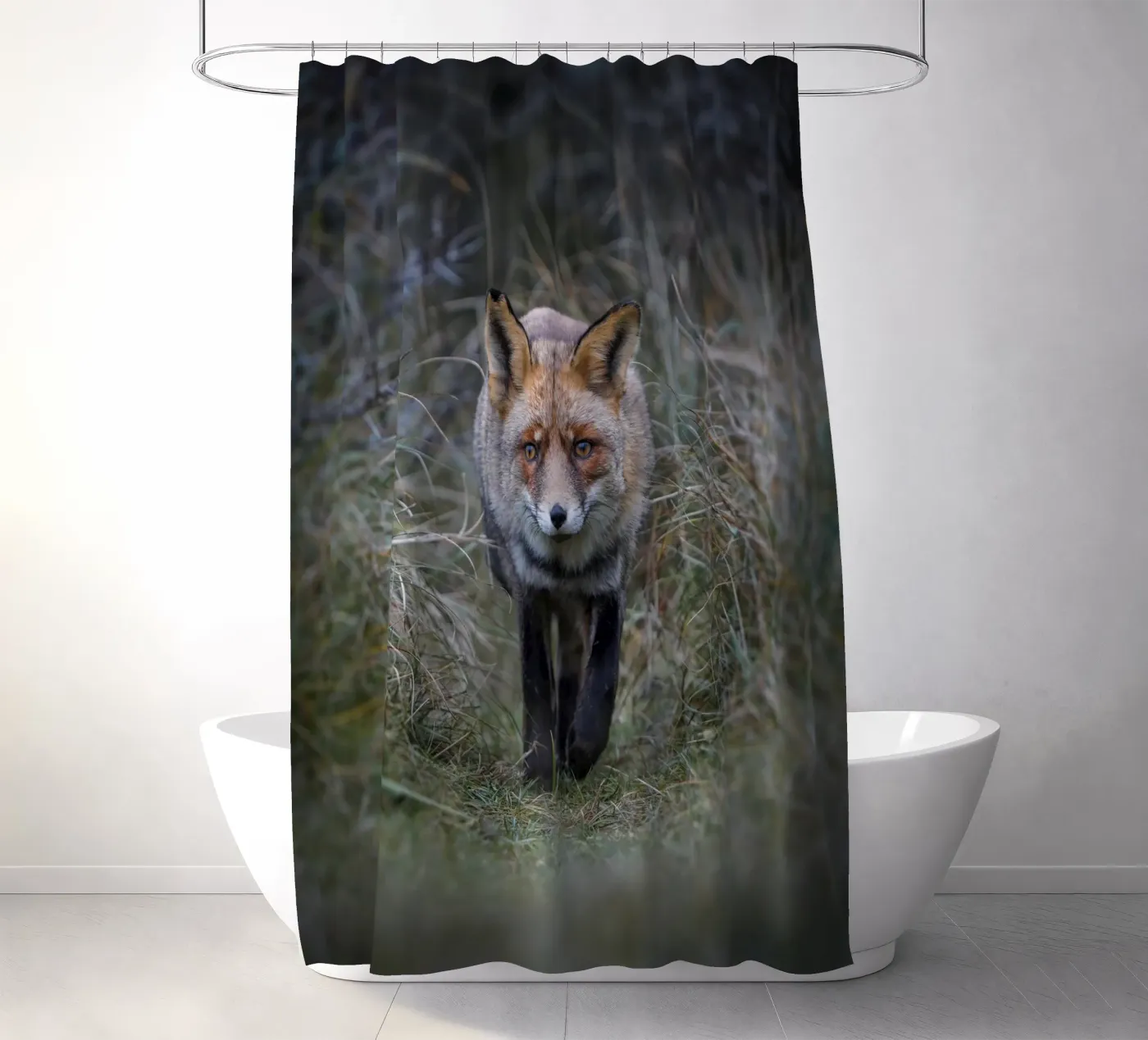 Rotfuchs Duschvorhang von Tom's Wildlife