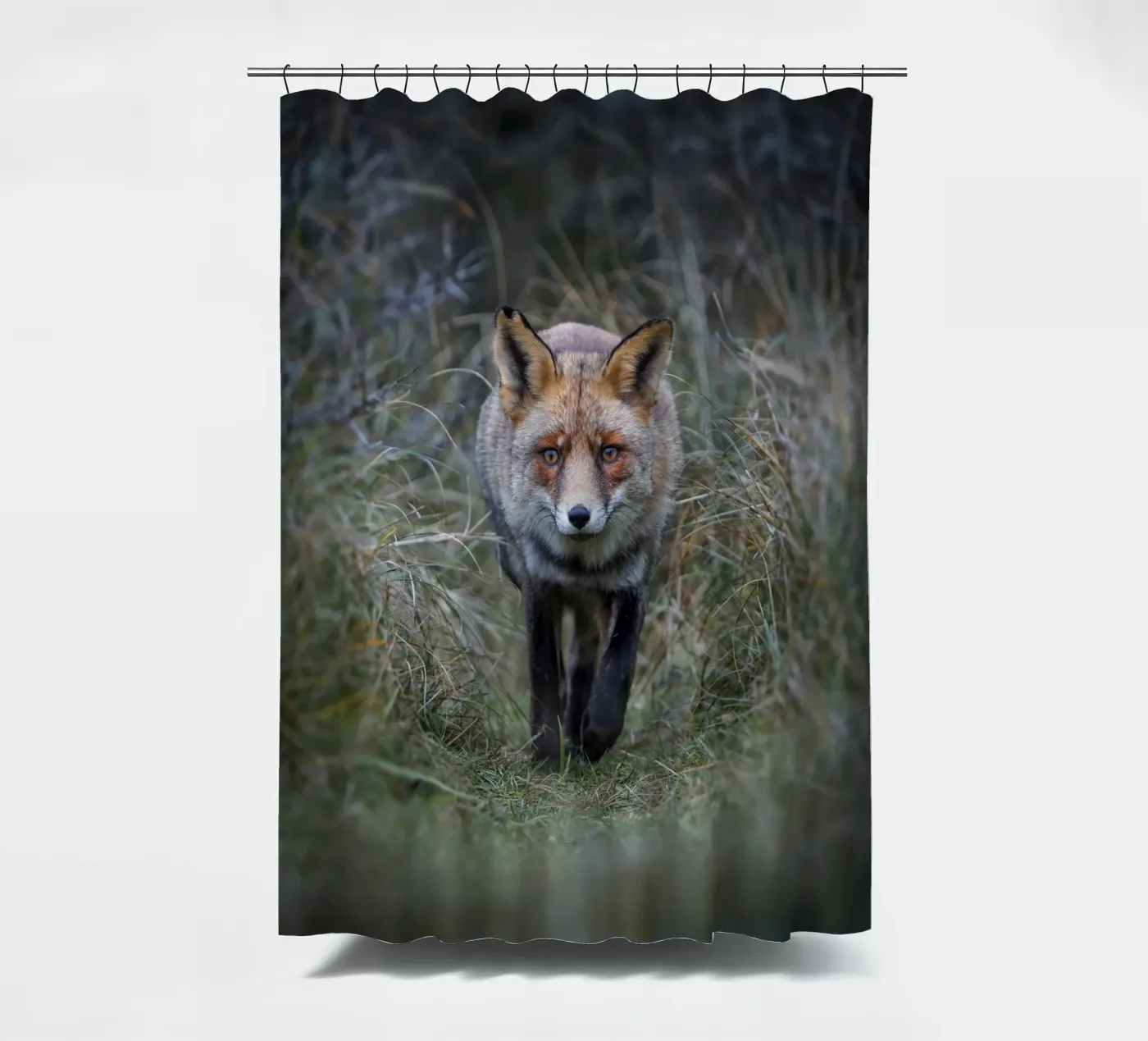 Rotfuchs Duschvorhang von Tom's Wildlife