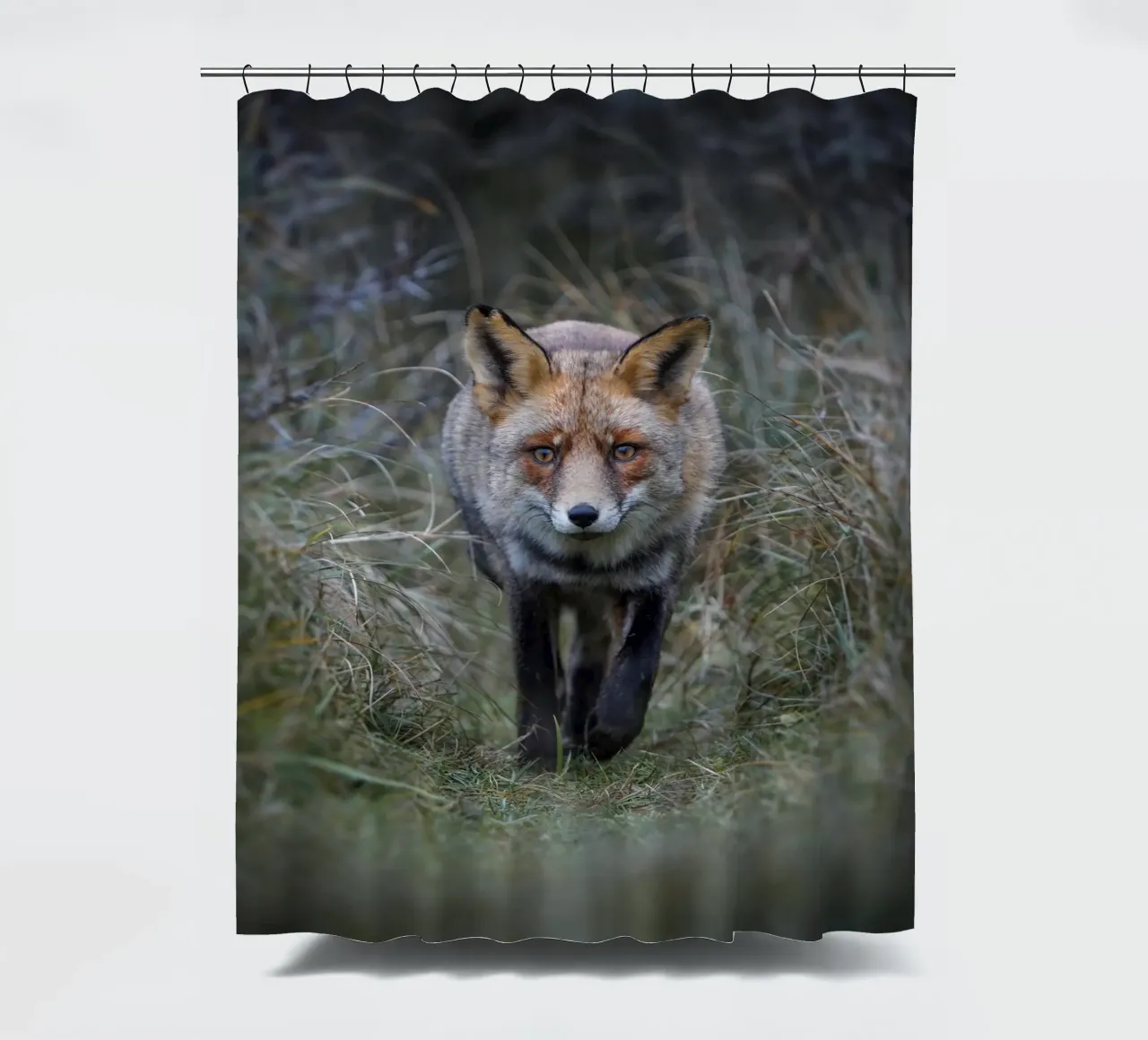 Rotfuchs Duschvorhang von Tom's Wildlife