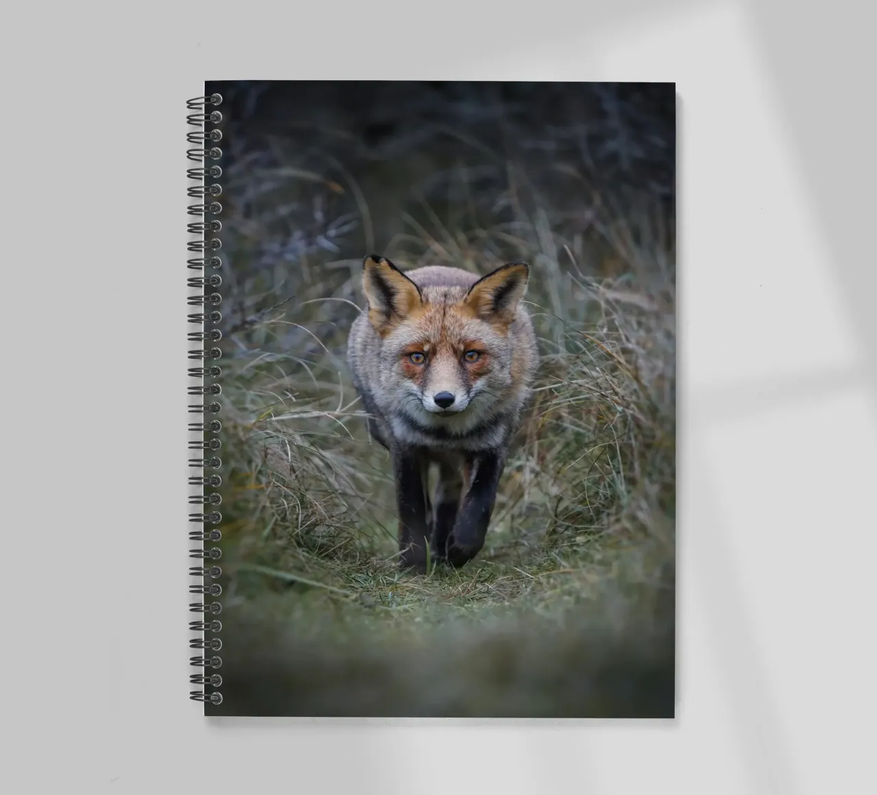 Red Fox spiral notebook by Tom's Wildlife