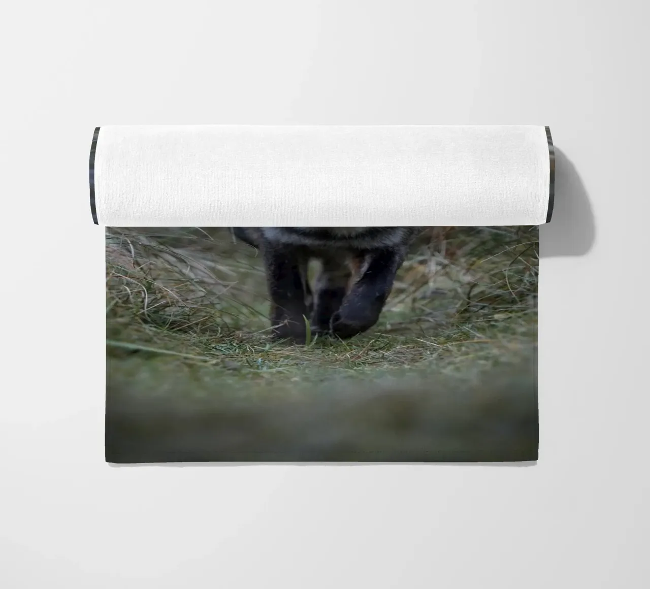 Volpe rossa telo mare da Tom's Wildlife