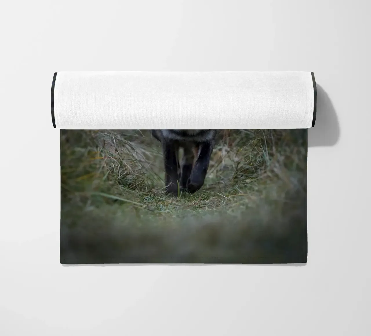 Volpe rossa telo mare da Tom's Wildlife