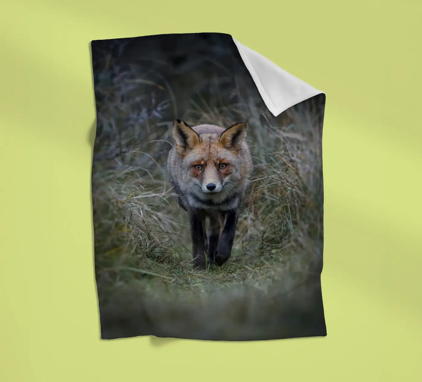 Rotfuchs Fleecedecke von Tom's Wildlife