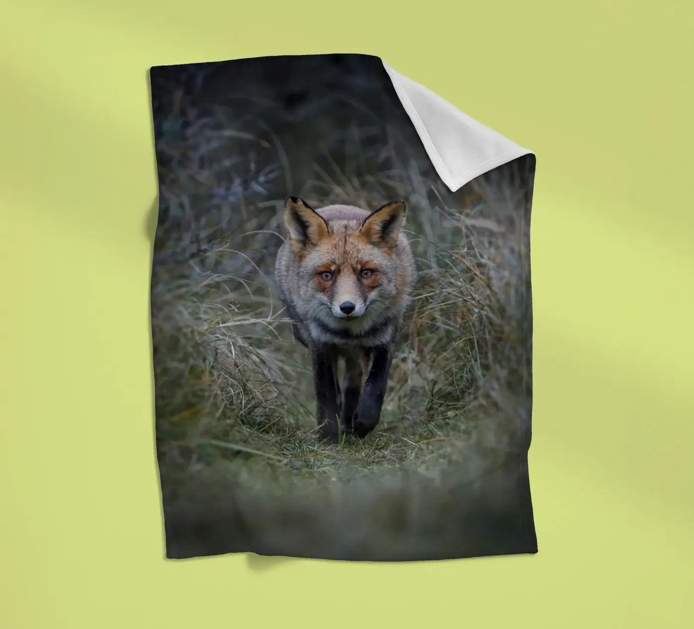 Red Fox plaid polaire de Tom's Wildlife