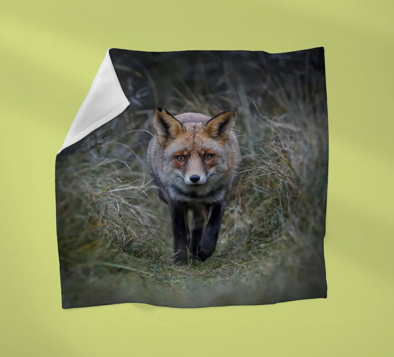 Rotfuchs Fleecedecke von Tom's Wildlife