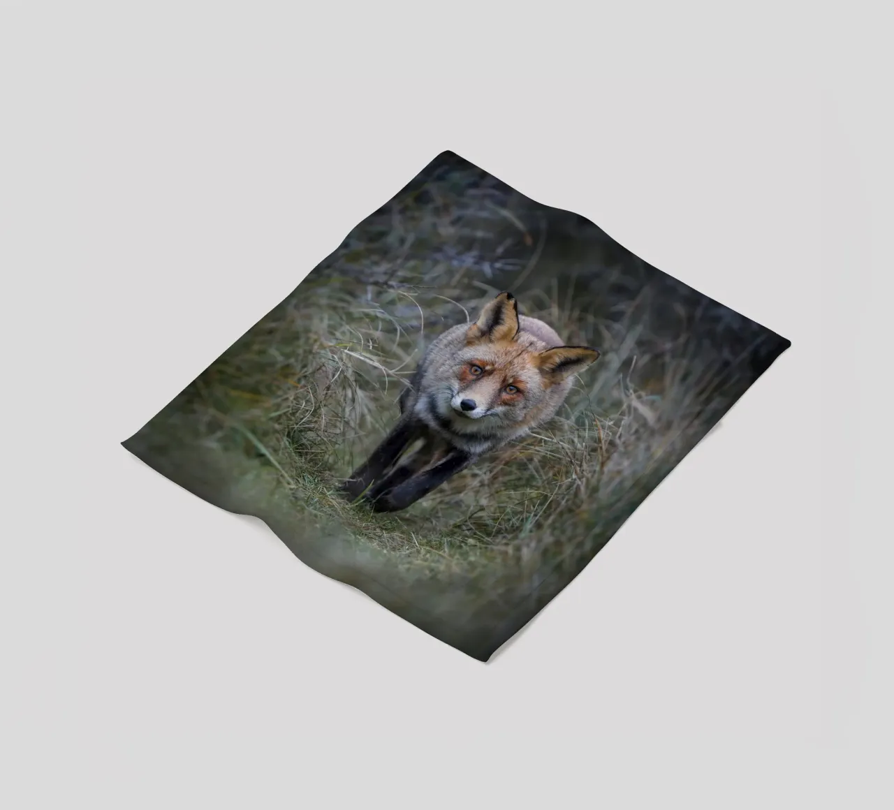 Rotfuchs Fleecedecke von Tom's Wildlife