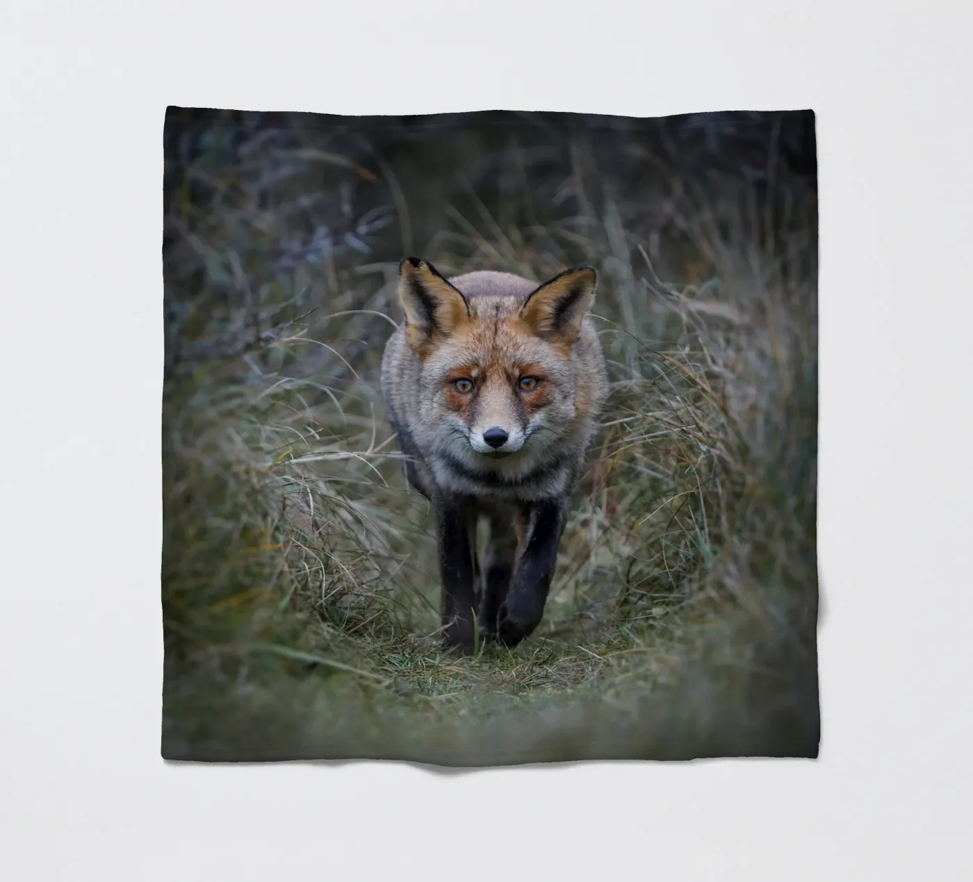 Rotfuchs Fleecedecke von Tom's Wildlife