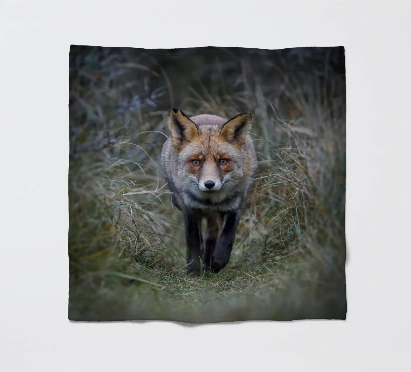 Red Fox plaid polaire de Tom's Wildlife