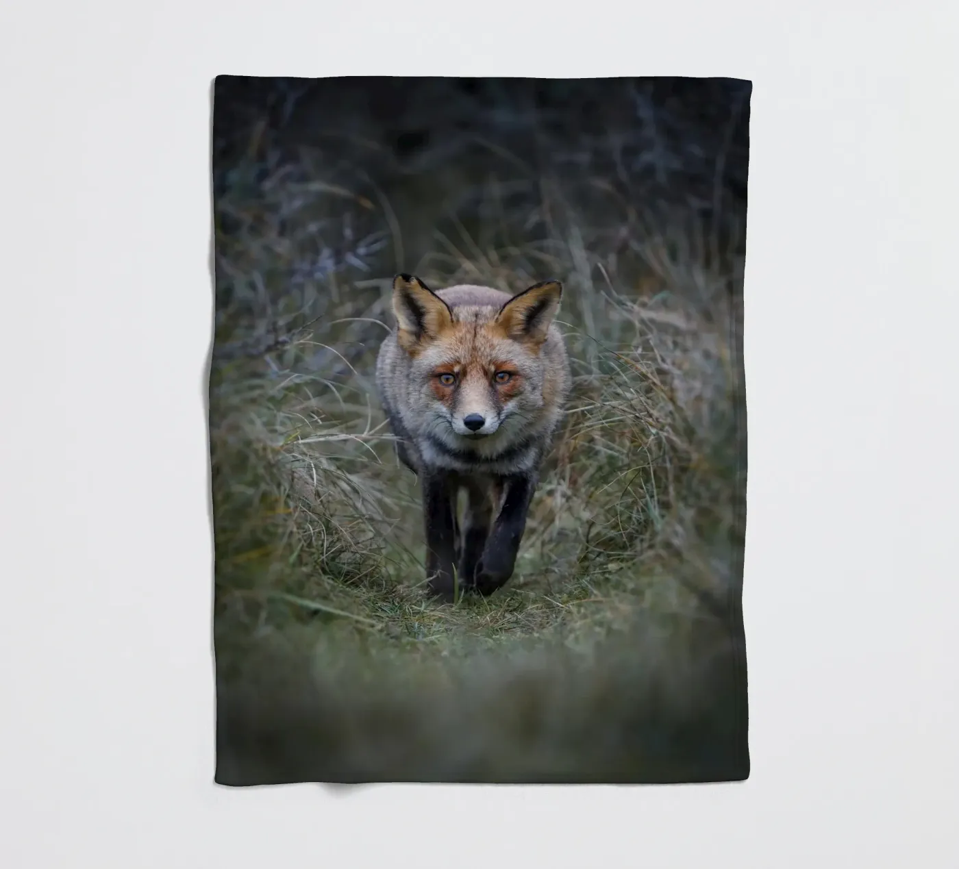 Red Fox plaid polaire de Tom's Wildlife