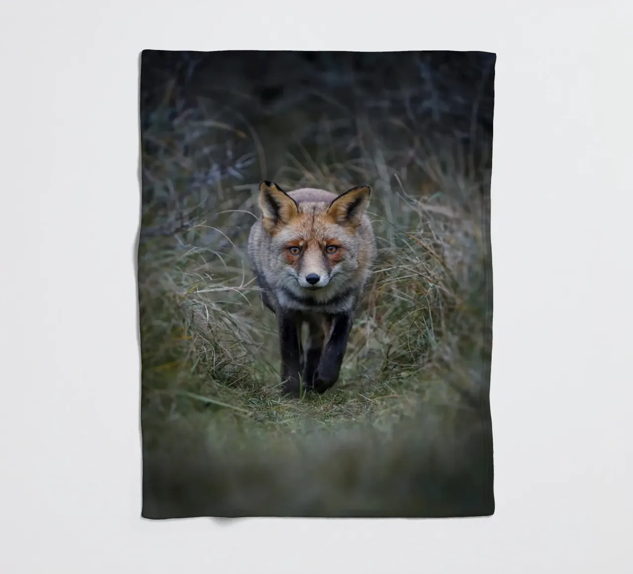 Rotfuchs Fleecedecke von Tom's Wildlife