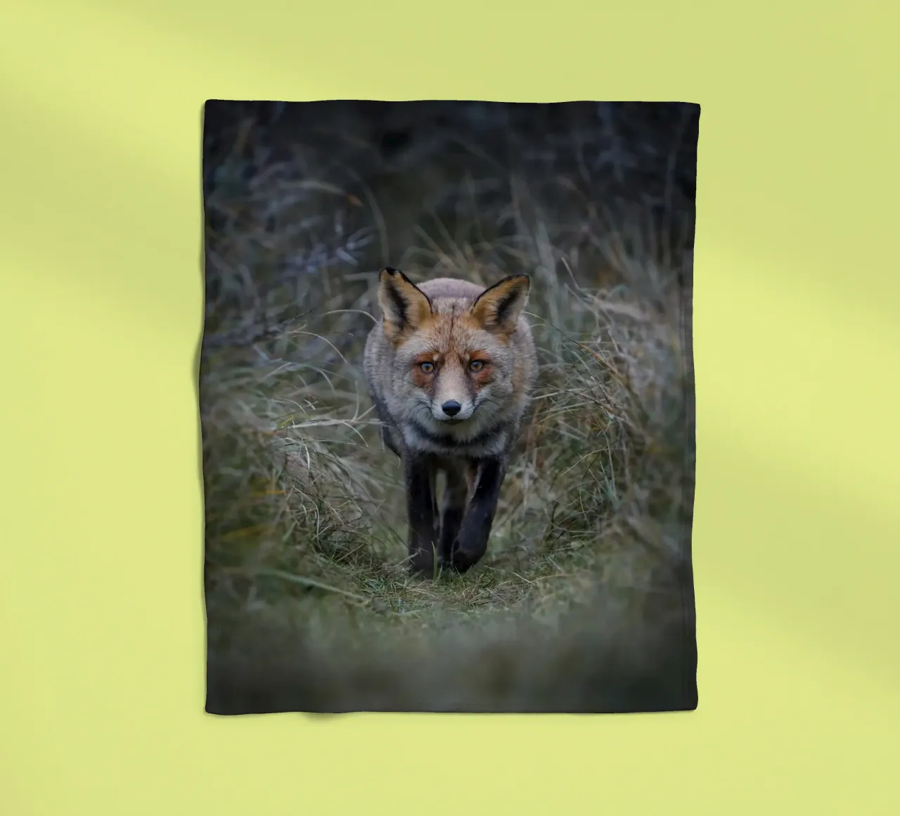 Rotfuchs Fleecedecke von Tom's Wildlife