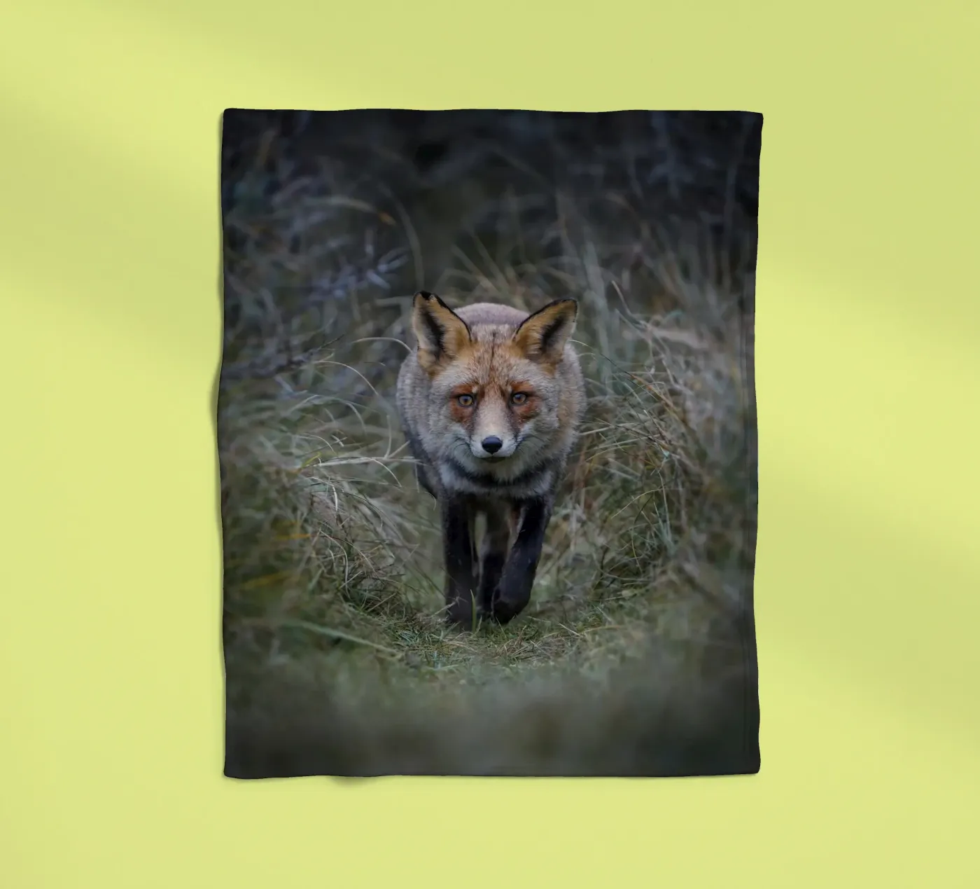 Red Fox plaid polaire de Tom's Wildlife