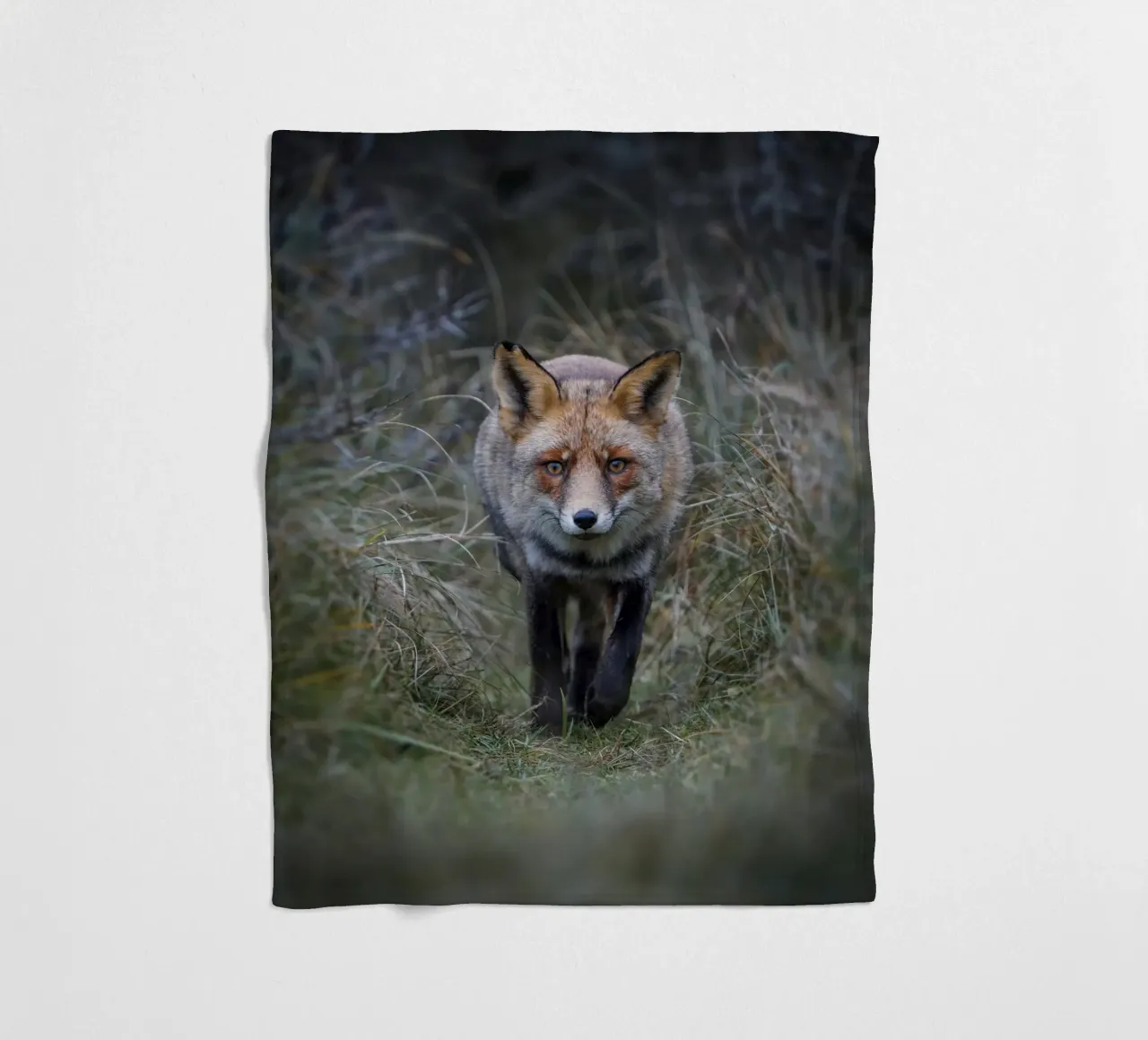 Rotfuchs Fleecedecke von Tom's Wildlife