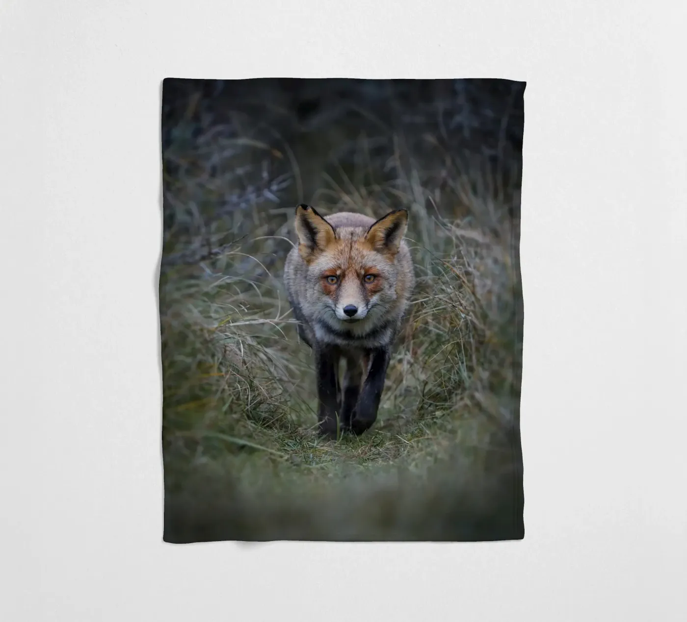Red Fox plaid polaire de Tom's Wildlife