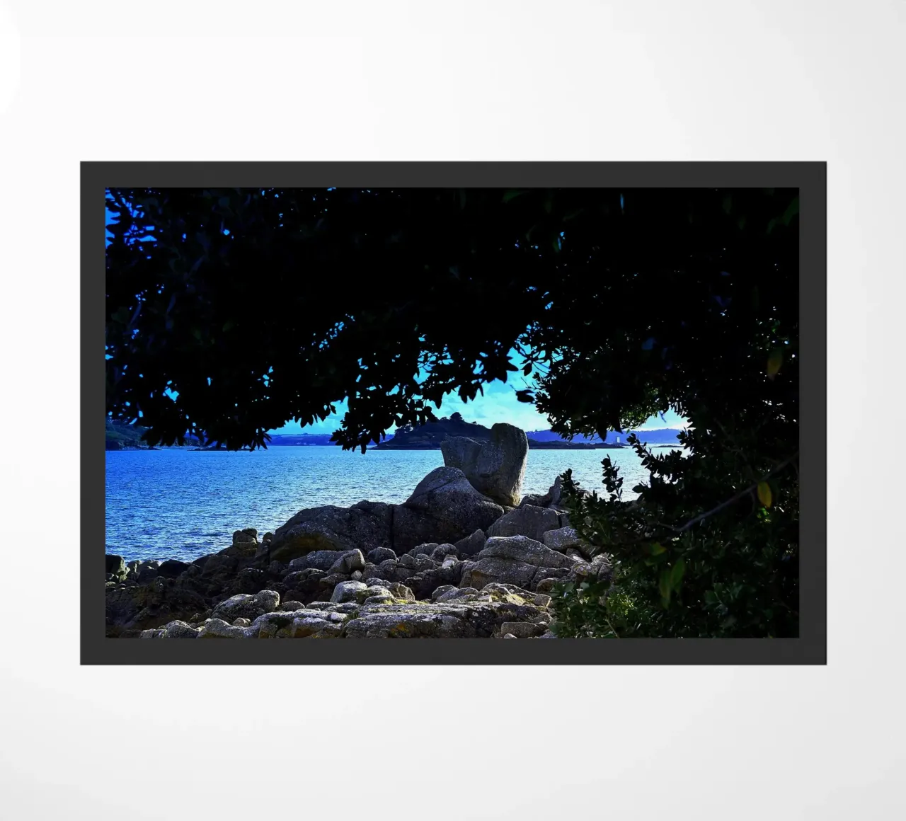 FAA156 zerbino da Thierry vobmann photography