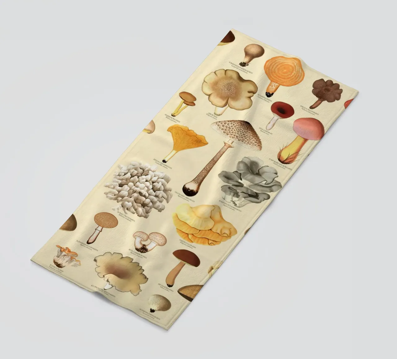 Illustrazione dei funghi commestibili svedesi telo mare da liu