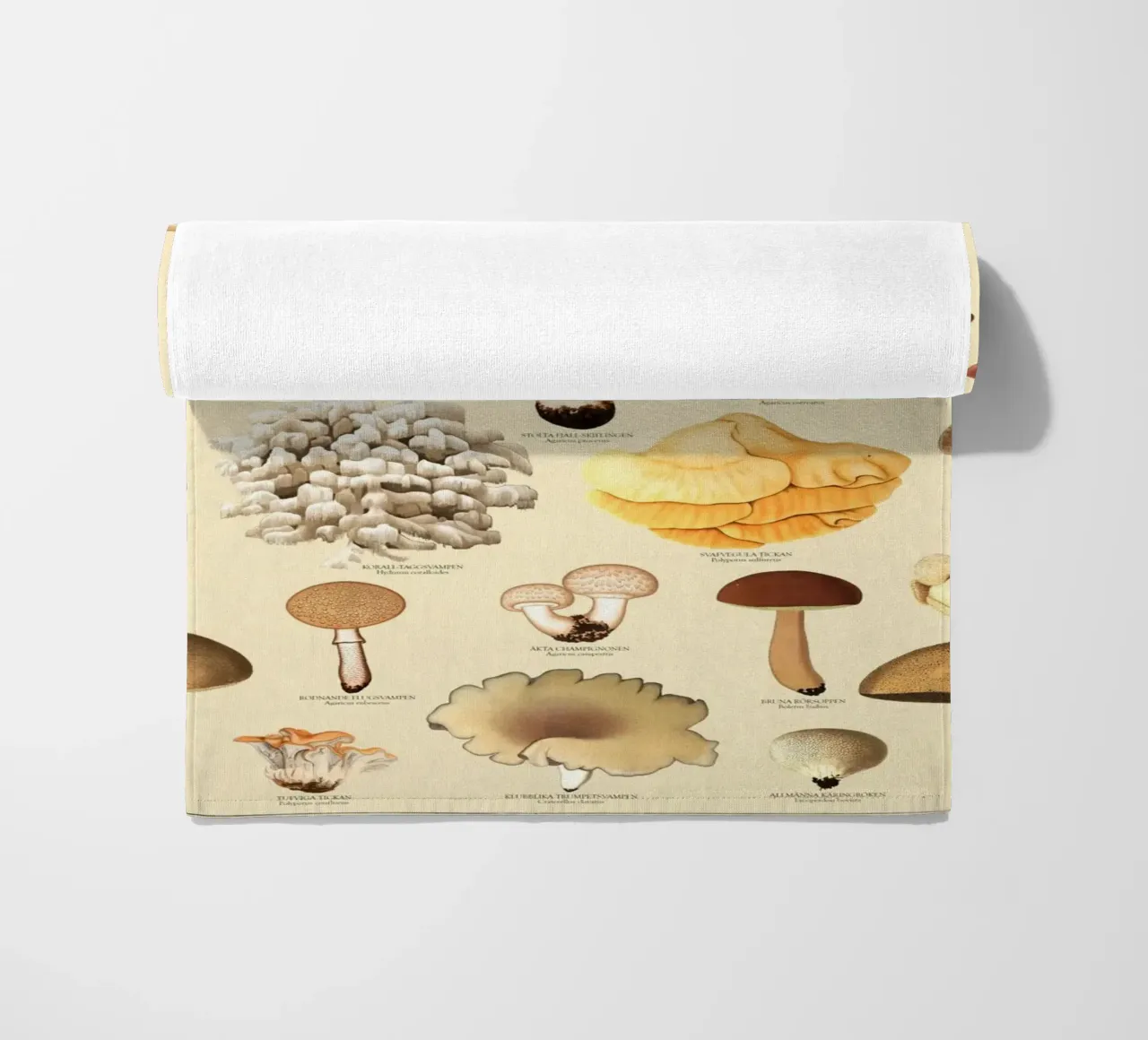 Illustrazione dei funghi commestibili svedesi telo mare da liu