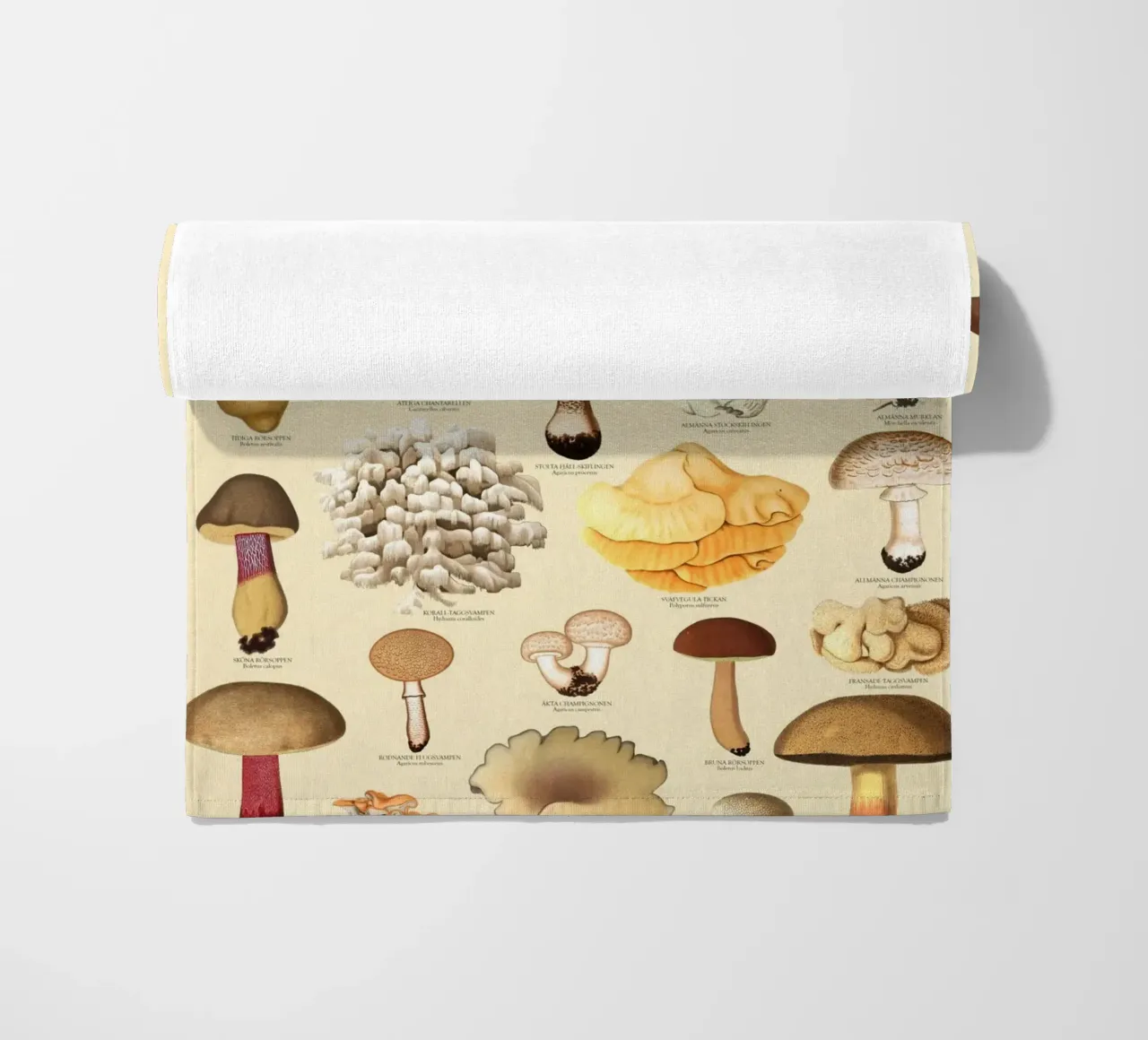 Illustrazione dei funghi commestibili svedesi telo mare da liu