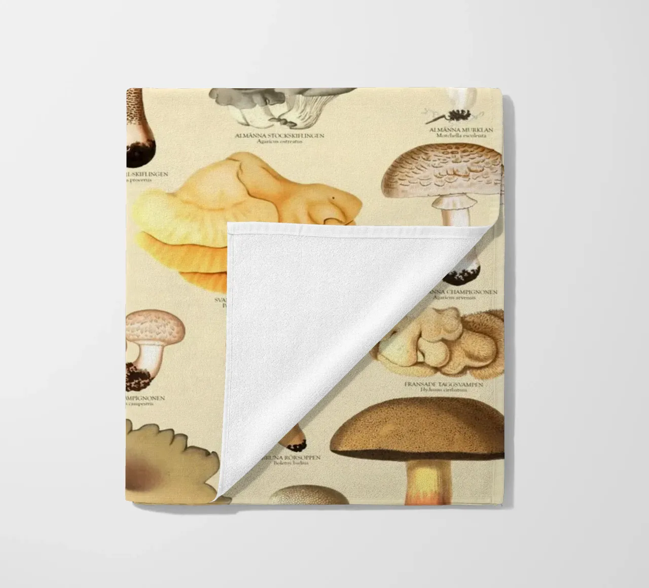 Illustrazione dei funghi commestibili svedesi telo mare da liu