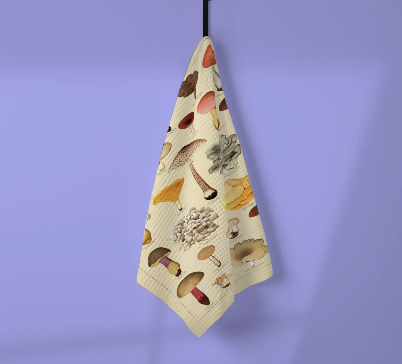 Illustrazione dei funghi commestibili svedesi canovaccio da cucina da liu