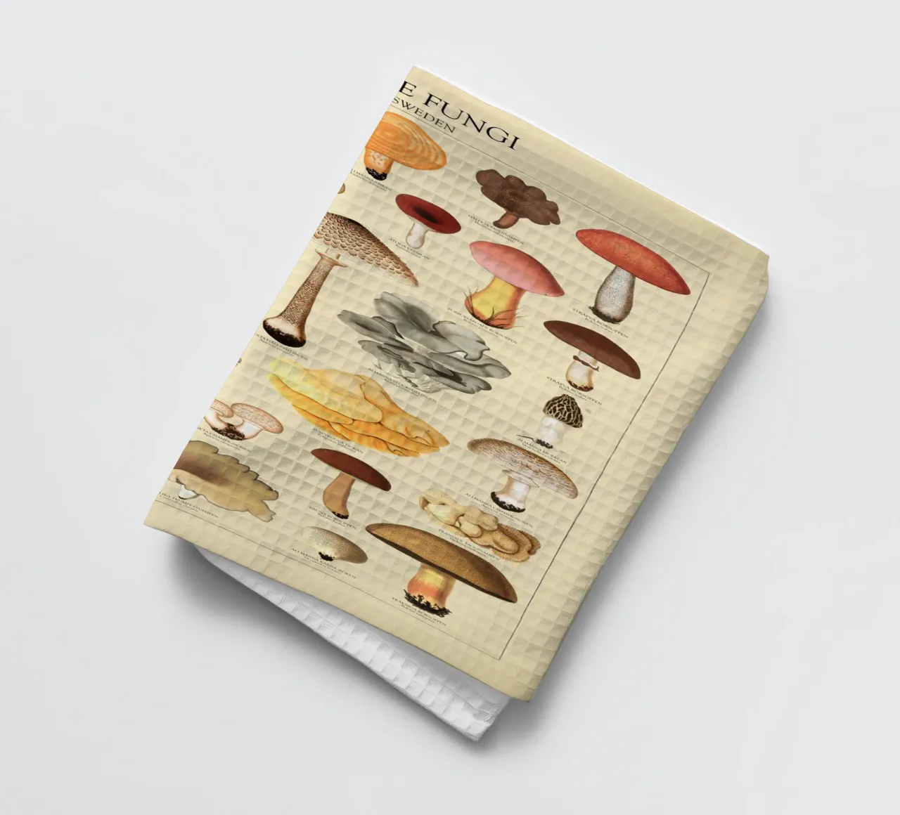 Illustrazione dei funghi commestibili svedesi canovaccio da cucina da liu
