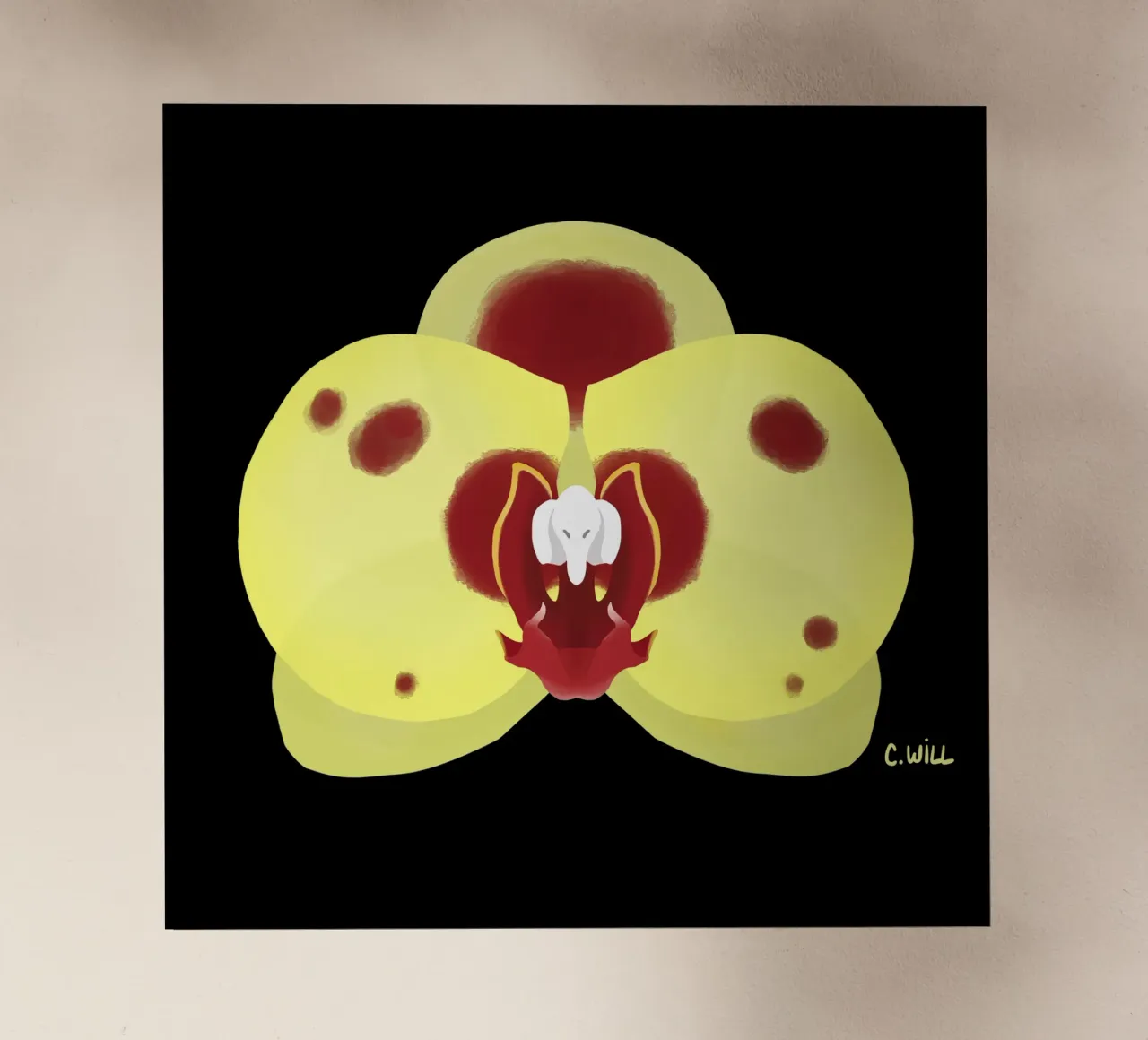 Orchidea elefante pellicola backlit da C.WILL