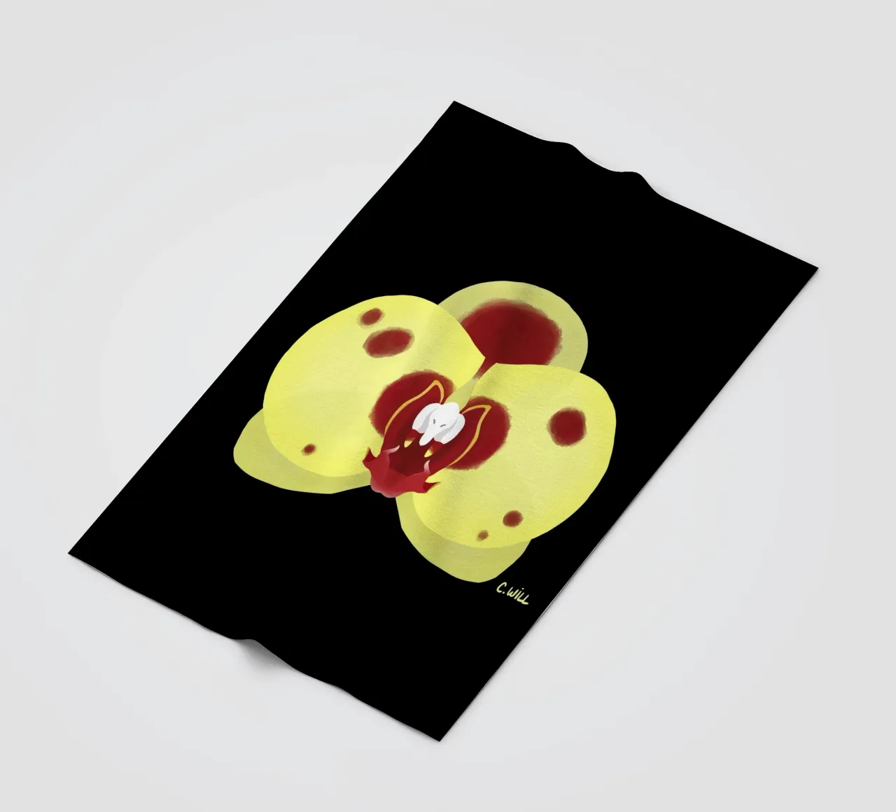 Orchidea elefante coperta in pile da C.WILL