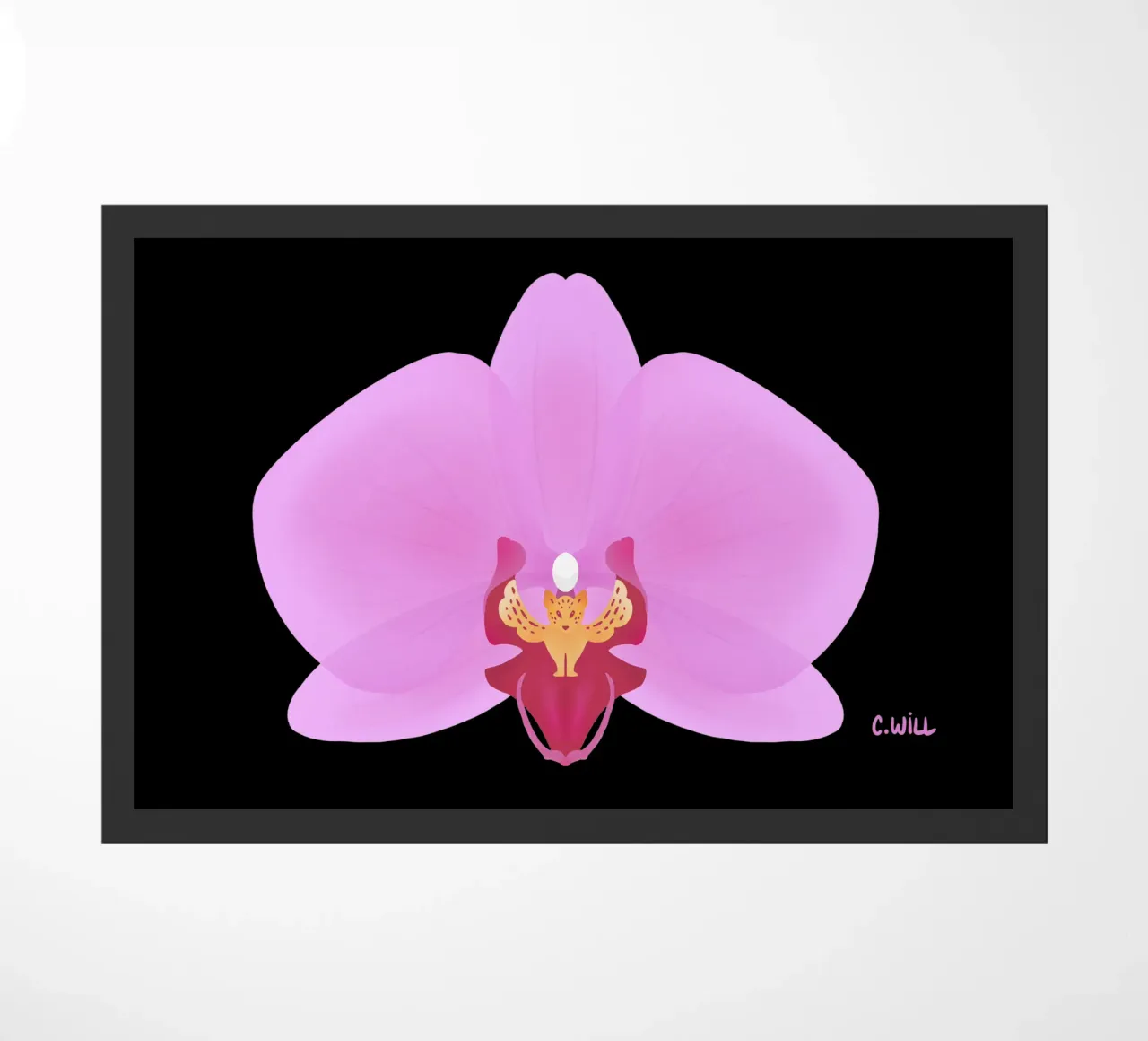Orchidea tigre zerbino da C.WILL