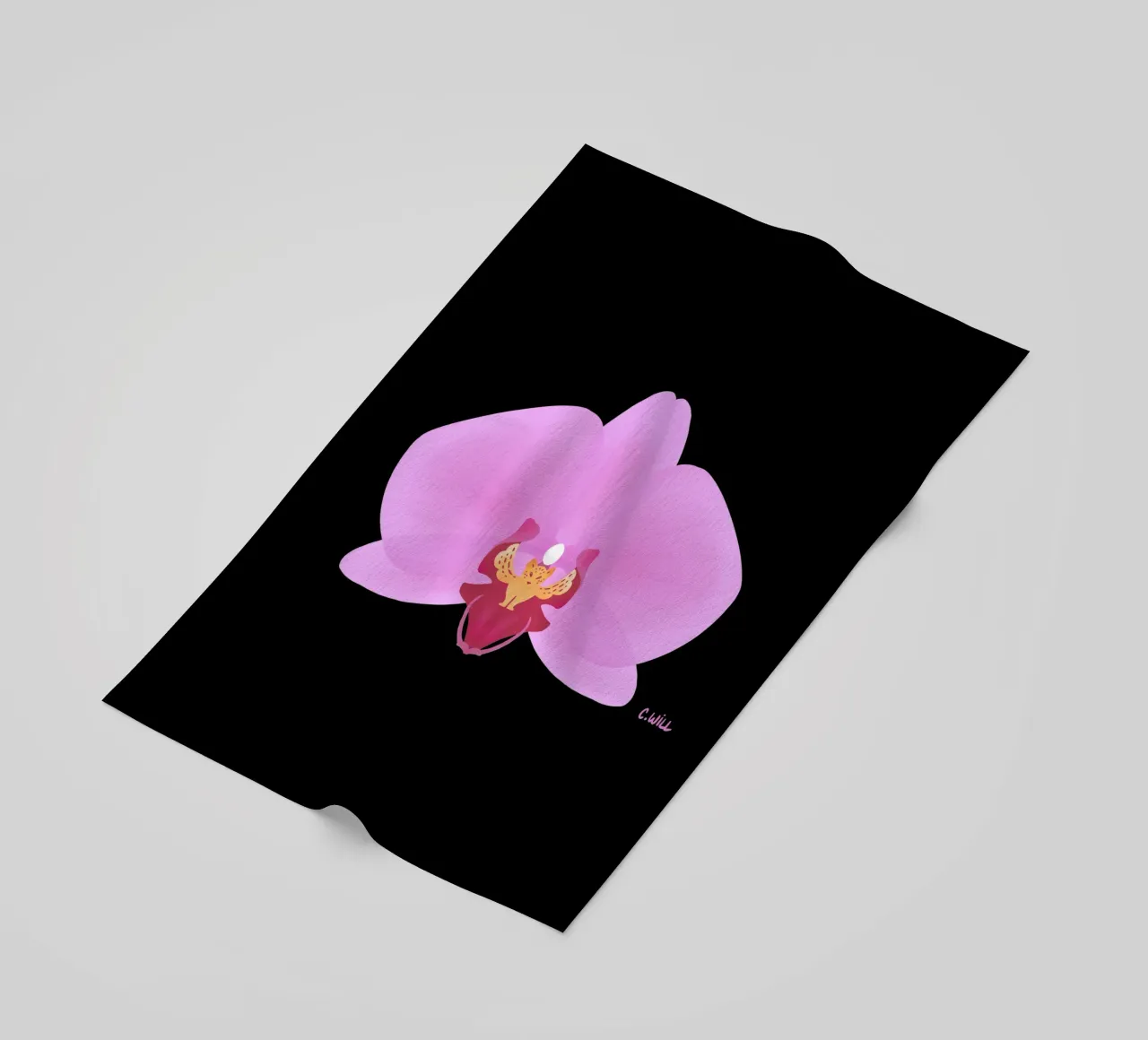 Orchidea tigre telo mare da C.WILL
