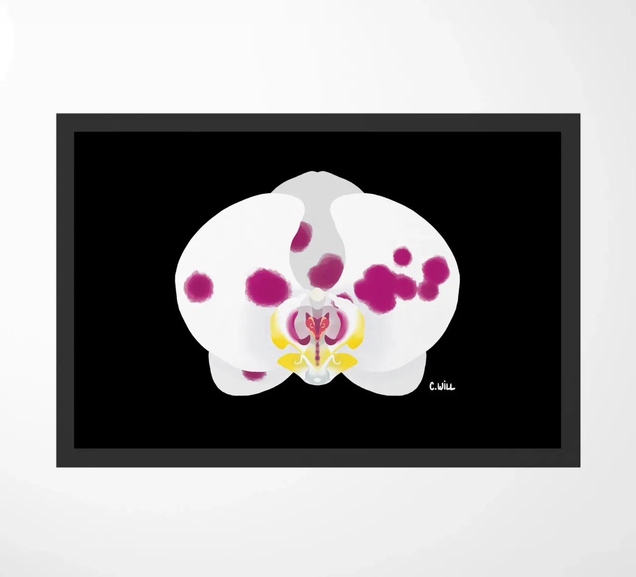 Orchidea lupo zerbino da C.WILL