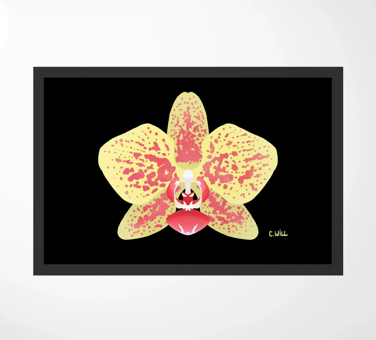 Orchidea volpe zerbino da C.WILL
