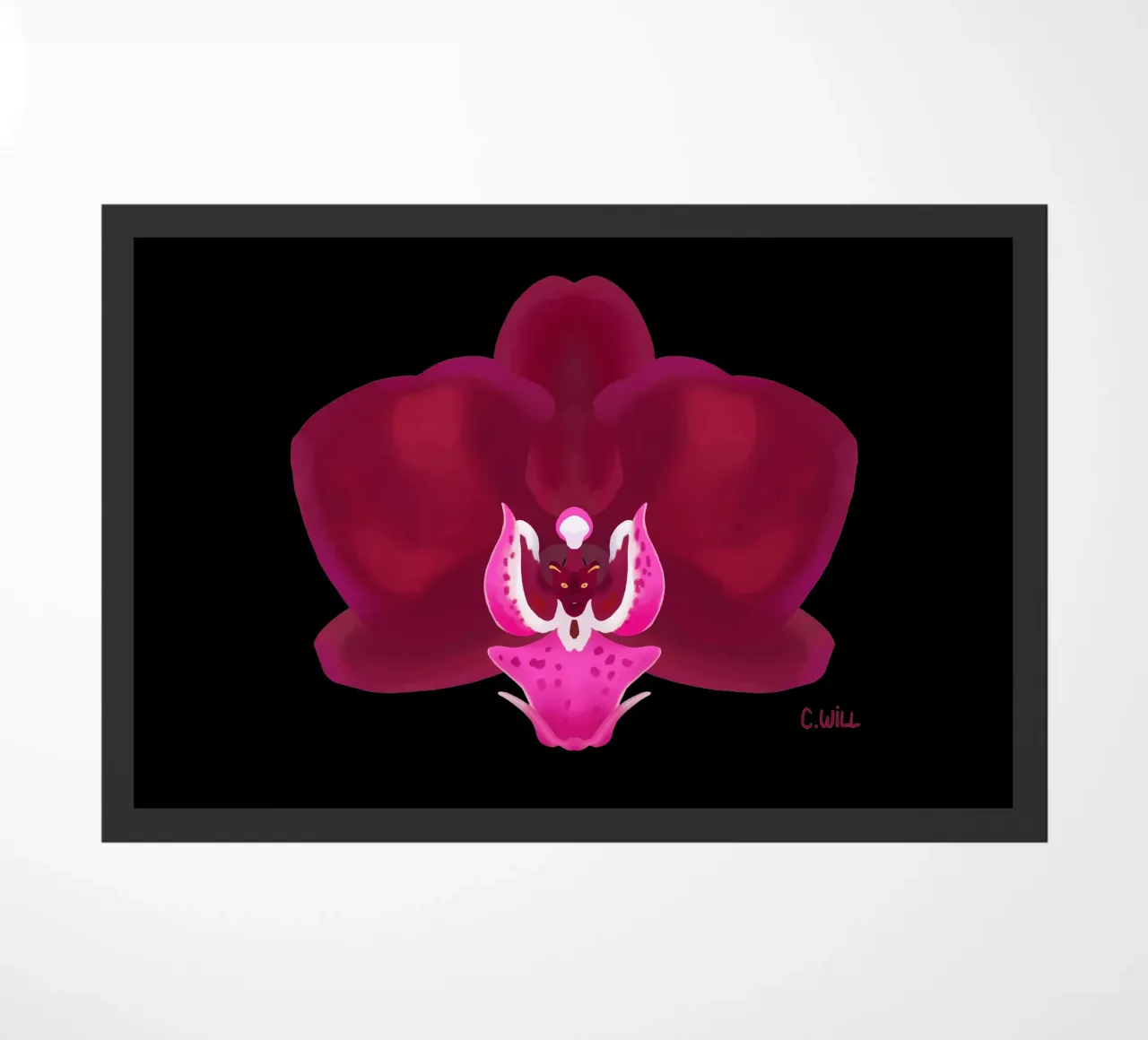 Orchidea pantera zerbino da C.WILL