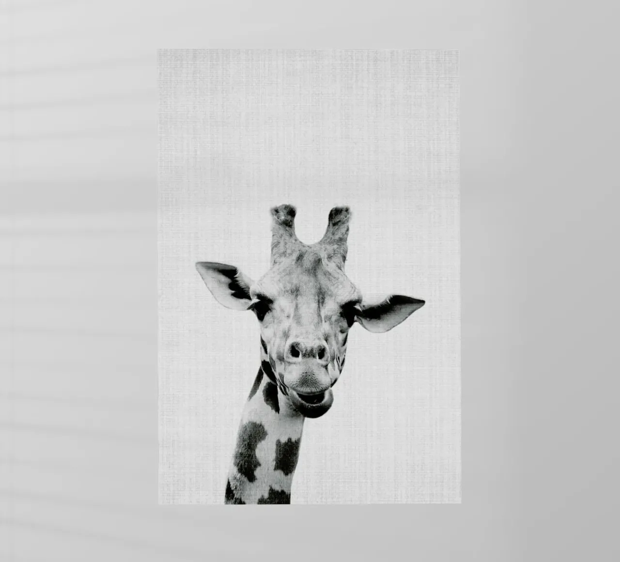 Print 41 pellicola backlit da Lila x Lola