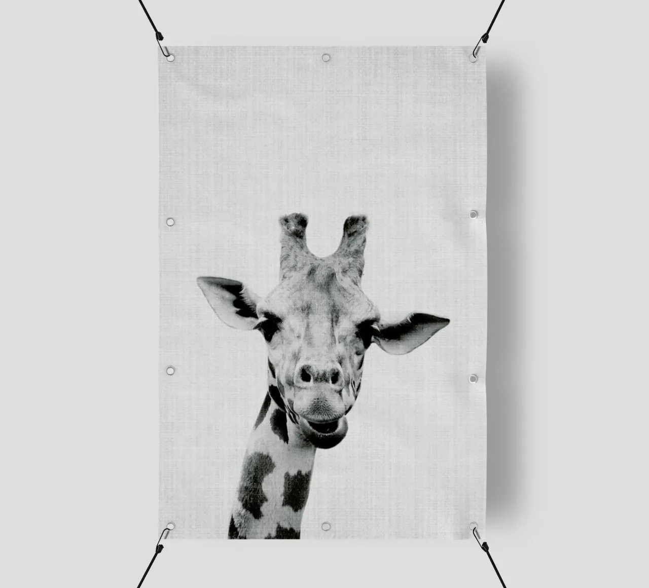 Print 41 telo in pvc da Lila & Lola