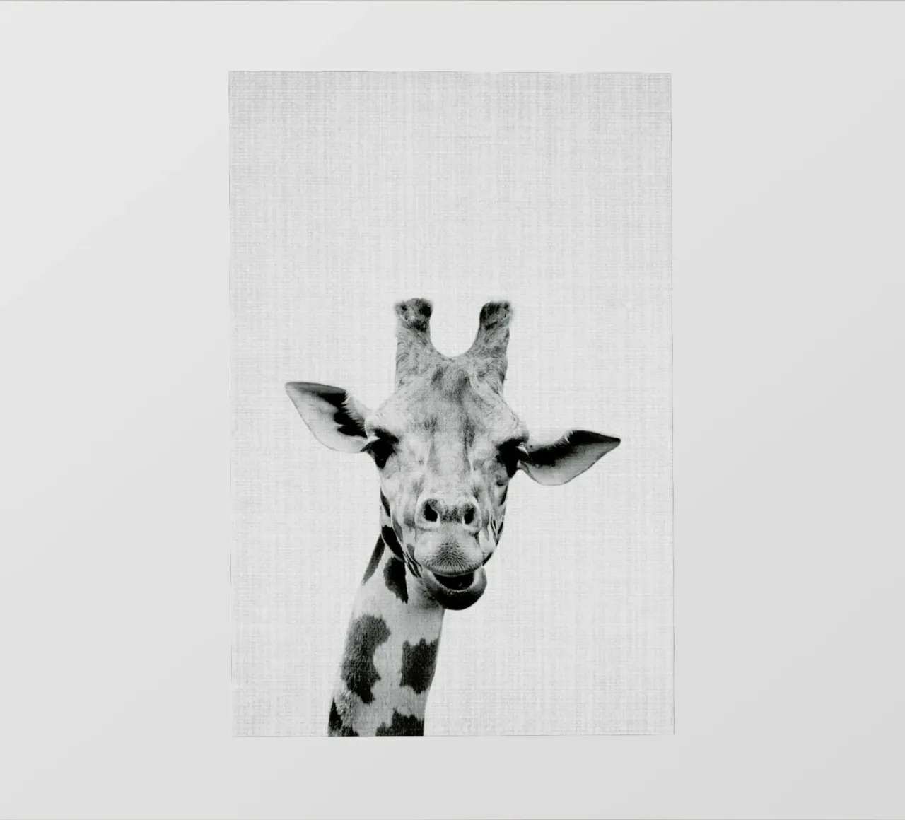 Print 41 telo in pvc da Lila & Lola